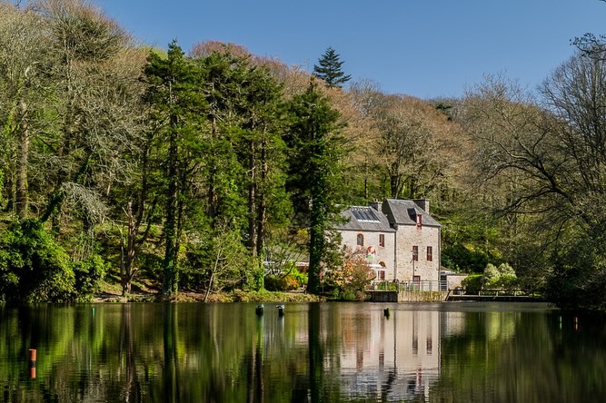 I often tell our dear clients that before moving to the US, I went in Bretagne region in France where they make the best crepes in the world. I wanted to bring something that even the hardcore crepes connaisseurs would say "ohhh yeah it's really good!" So after my crepe school diploma and training, I gathered some Bretons (people from Bretagne) and did a tasting. I was very anxious! But they loved it! What a relief it was 😅. I mentionned many times the school, Ecole Blé Noir, but I never showed it. Here it is! Everyday I felt like entering a place you see only in fairy tales. I am very glad I left the bank and went to this crepe school. My goal is the same than 12 years ago. Holy Crepe recognized as one of the best crepes in the United States :)