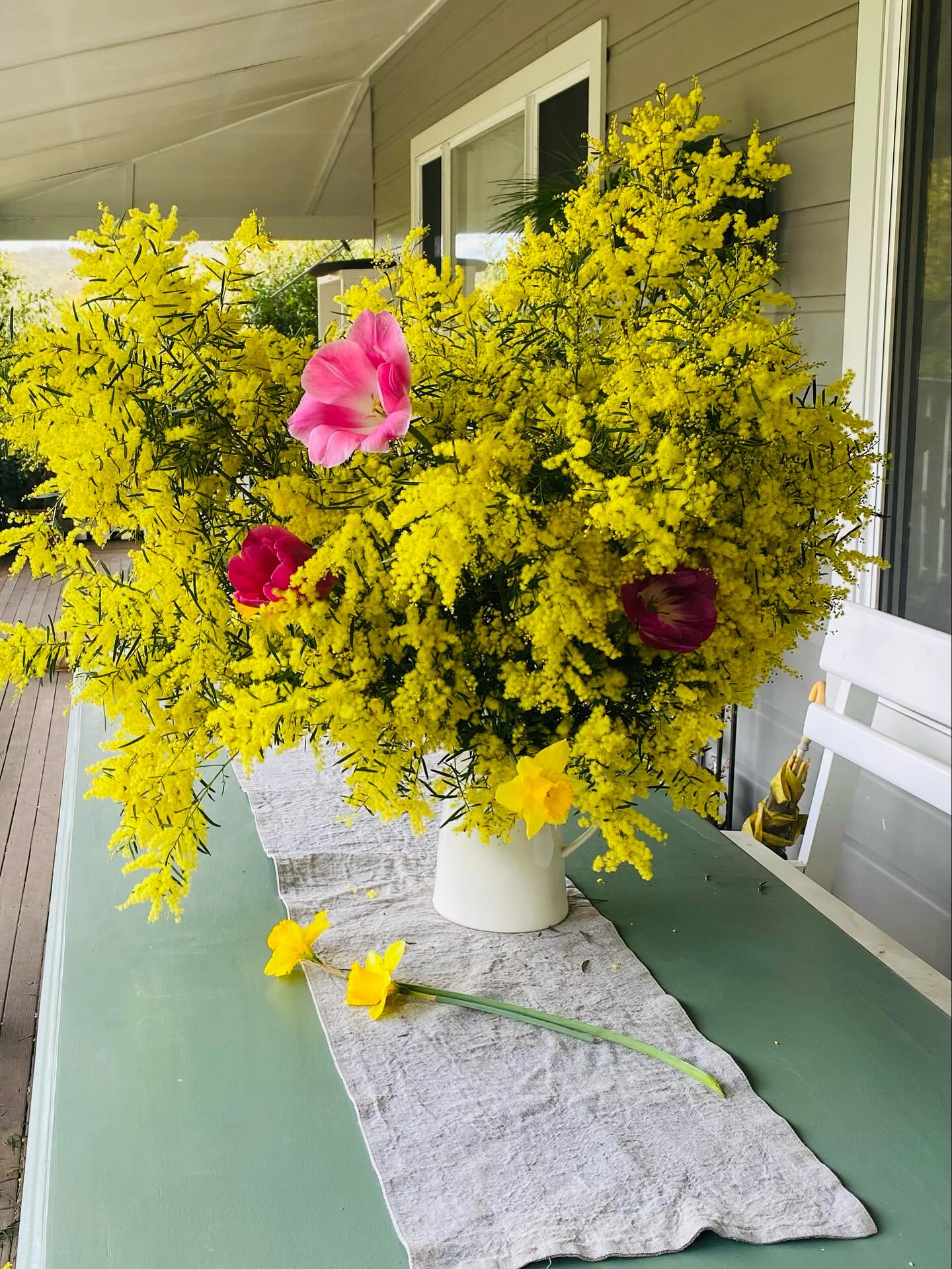 Armfuls of sunshine!
My daughter Star and I had to cut some of this glorious wattle because it smelled so amazing 💛💛💛
#feelinglikespring #imustpickflowers 😉