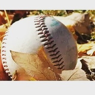 It's that time of year.....sign up for FALL BALL now! Don't miss out!
https://go.teamsnap.com/forms/496244
