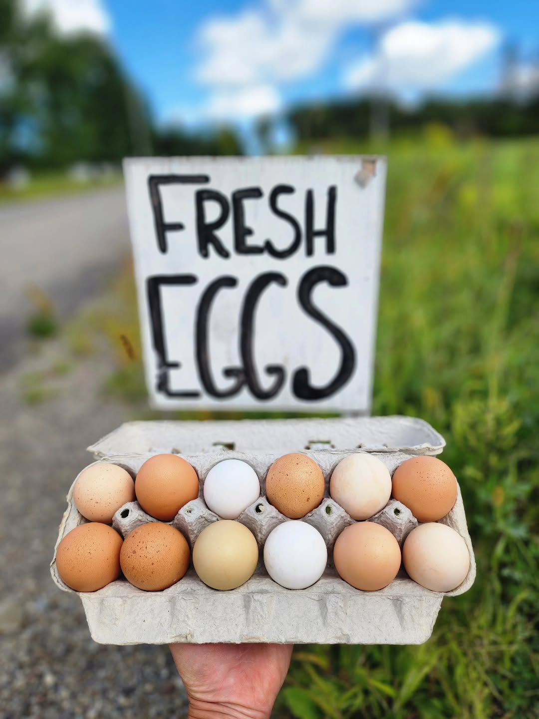 The farm stand is closed for the season, but your friendly neighborhood pay & take egg cooler is back! The old gal is fully stocked with the freshest organic-fed pastured eggs on the block. Restocked daily. Come on out!