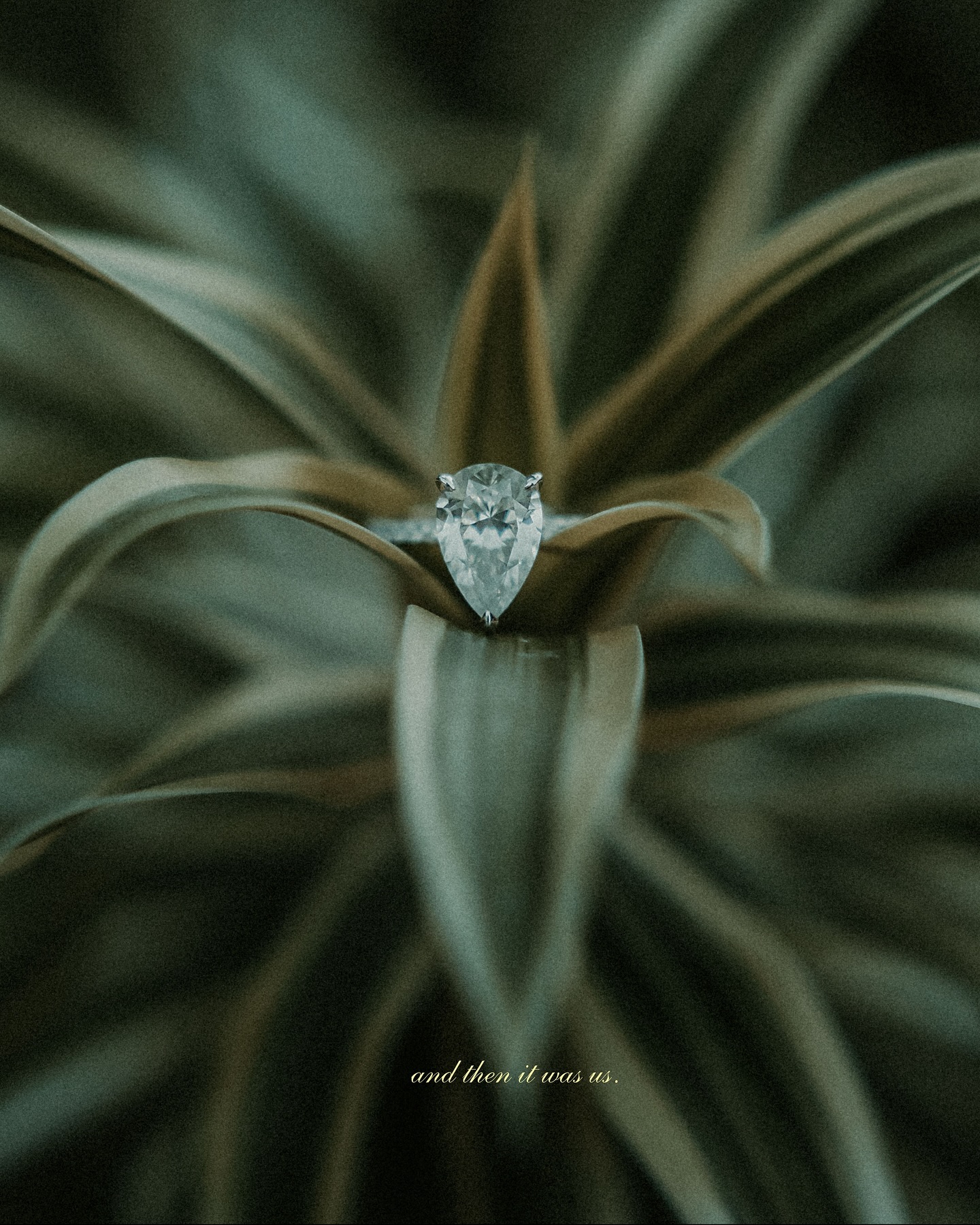 Beautiful proposal @ Buccanos 🫶
#cozumelphotographer