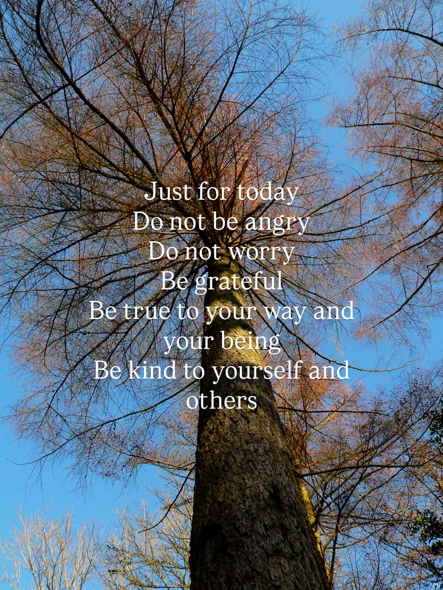 Off to Reiki 1 training with @brighitta today ✨
Sharing these guiding principals ~ for today and everyday 🕊️