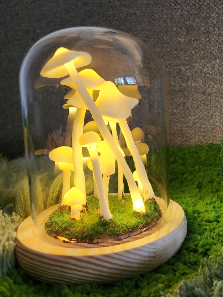 ✨ Feeling stuck in a creative rut? ✨
We’ve got just the cure: fun projects that’ll make your imagination do a happy dance! 🕺🎨
From quirky crafts to relaxing DIYs, our latest blog is packed with ideas to get your hands moving and your creativity flowing. 💡✂️
👉 Dive in here: https://f.mtr.cool/rbfdspmkwj
#CraftInspo #DIYFun #CreativeSpark #GetCrafty #ImaginationUnlocked