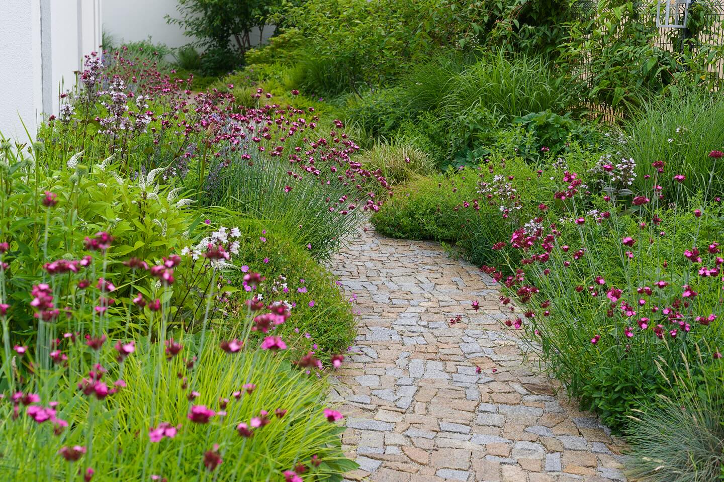 Letošní rok je ve znamení nových projektů, pro které se nestíhám věnovat focení zahrad.
Vracím se tedy zpět v čase na začátek léta, do zahrady malé jako dlaň, kde byla zadáním milých majitelů co největší pestrost.
V době mé návštěvy řádily převážně hvozdíky, ale v podrostech už se připravovala nová vlna kvetení.
Mimochodem, taky máte tak rádi deštivé počasí, nebo je to jen zahradnická “libůstka”? :)