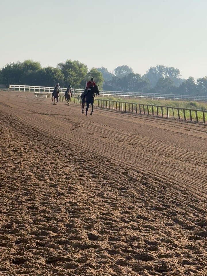 Doug (Jc: Music Theory) had his first baby breeze today and took it all in stride (literally and metaphorically). Then, as he's come to expect, he got loads of praise and attention from his adoring fan club. 😂
I'm just so thankful to @gretacolleyy and @cari.farmer for helping to raise and start him right, @annameahracing for bringing him along and @s_doyle77 for guiding him through that milestone this morning. #brownsteadbred #ThePinkM