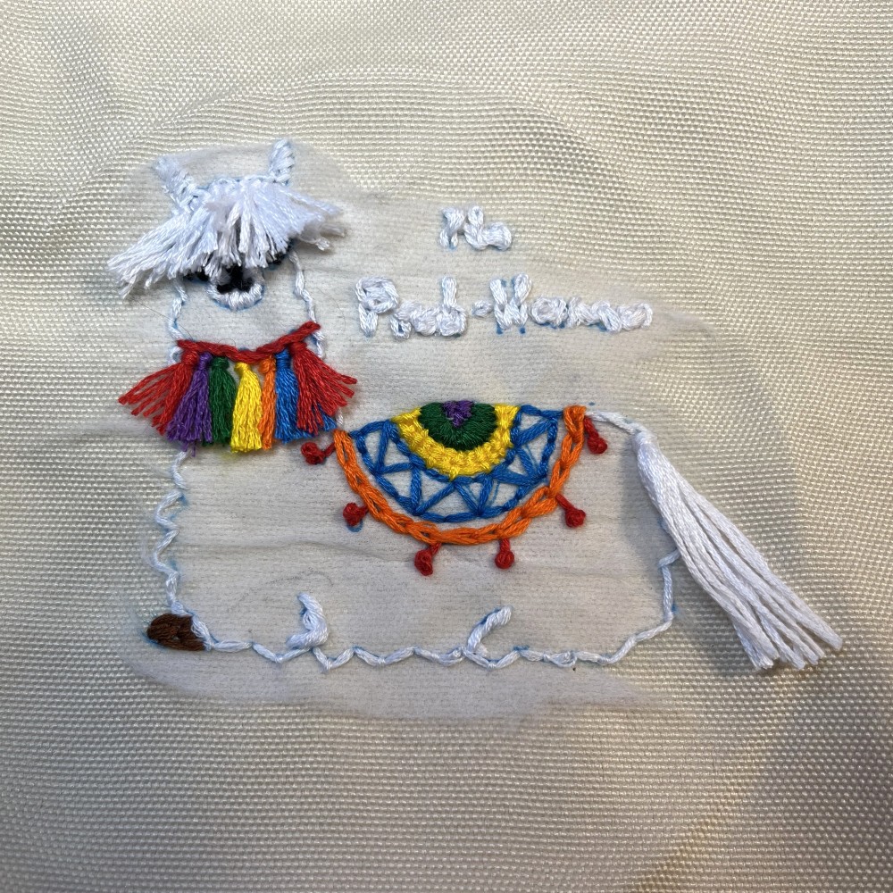 How adorable is this?! Jordi took our embroidery kit and stitched up the sweetest little llama on her daughter’s tote bag 🦙 Practical and precious – we’re obsessed! 💛 #noprobllama #llama #embroidery #diy #craftobsessed