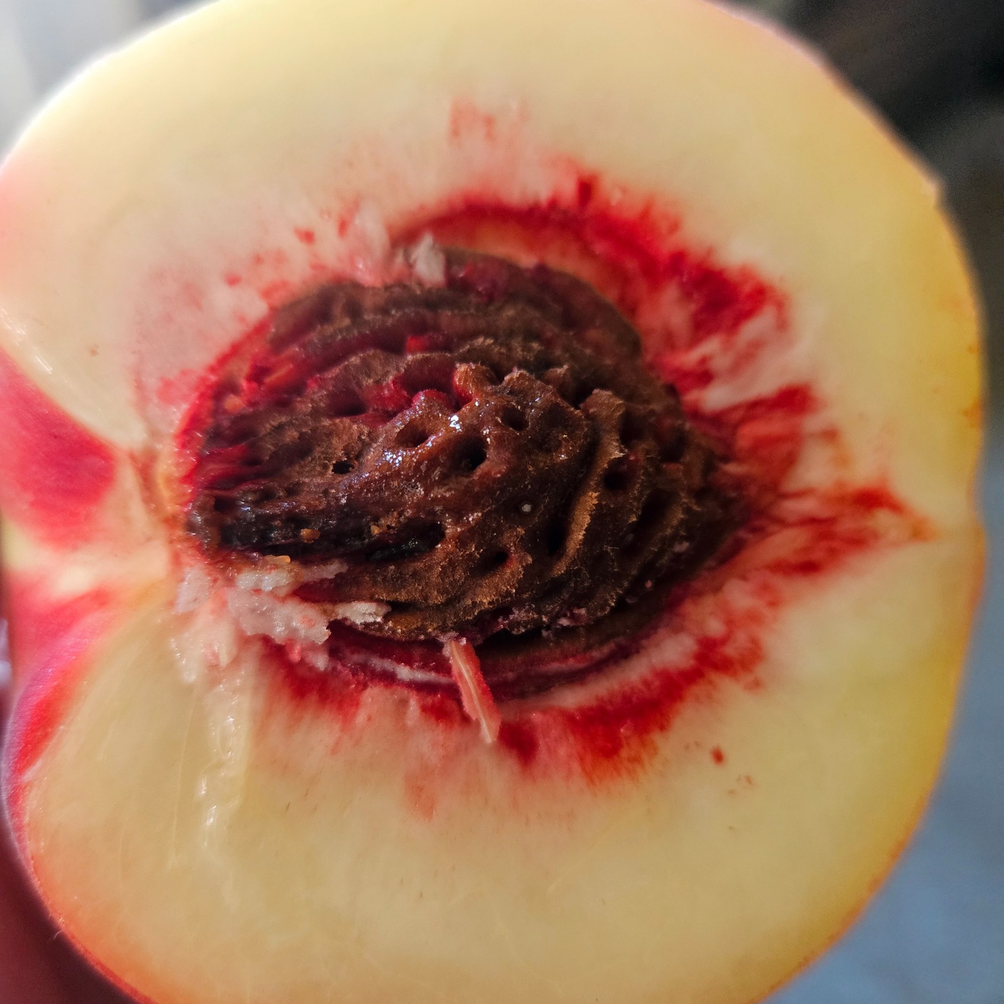 Behold the beautiful white peach. It makes a wonderful peach crisp!
Recipe Card: slice 6-8 peaches into chunks, mix with 1/4 cup white sugar and 1/2 cup flour. Pour mixture into a lightly greased pan (8x8). Mix 1 and 1/2 cups of old fashion oats with 1/4 cup brown sugar and 1 heaping teaspoon of cinnamon. Arrange on top of the peach mixture. Add a few pats of butter and bake at 350 degrees for 45 mins to an hour. Serve warm with a scoop of ice cream or a dollop of heavy cream. We like Vanilla or pair it with something fun like Butter Pecan! Enjoy!