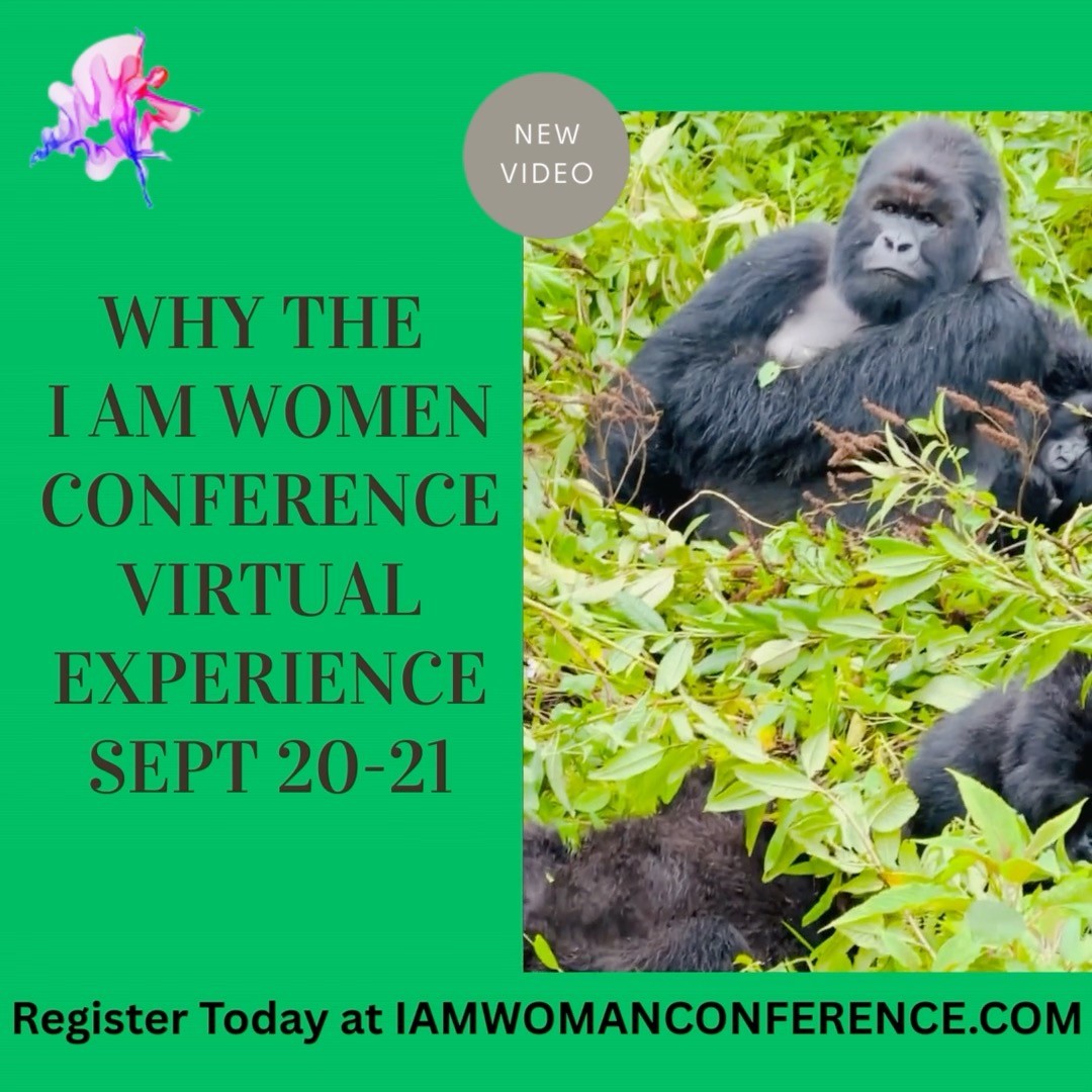 Sometimes the biggest journeys begin with the smallest acts of belief.
When Sylvia High, owner of Aiming High Inc. and curator of the I Am Woman Conference, spoke life into me, she gave me the courage to slow down, trust myself, and say yes to what seemed impossible.
That ‘yes’ turned into 335 days across Africa, solo.
Every country, every meal, every laugh with strangers was proof that small, intentional steps compound into life-changing returns.
Just like wealth, transformation isn’t about one grand gesture; it’s about behavior repeated slowly, safely, and consistently.
Compounding is as true in the nervous system as it is in the bank.
Slow is safe. Slow is rich. Slow steps create the life you’re craving.
You can't afford to miss the I Am Woman Conference, it's a Virtual Experience this year, Sept 20-21, 2025.
"Because You Are" is the theme.
Register today at iamwomanconference.com or scan QR code in this post.
Because you are the daughters of the Most High, there are no dreams too big!
Slow steps create the life you are craving.
Looking forward to seeing you there!!
Sylvia High @_iamwomanconference