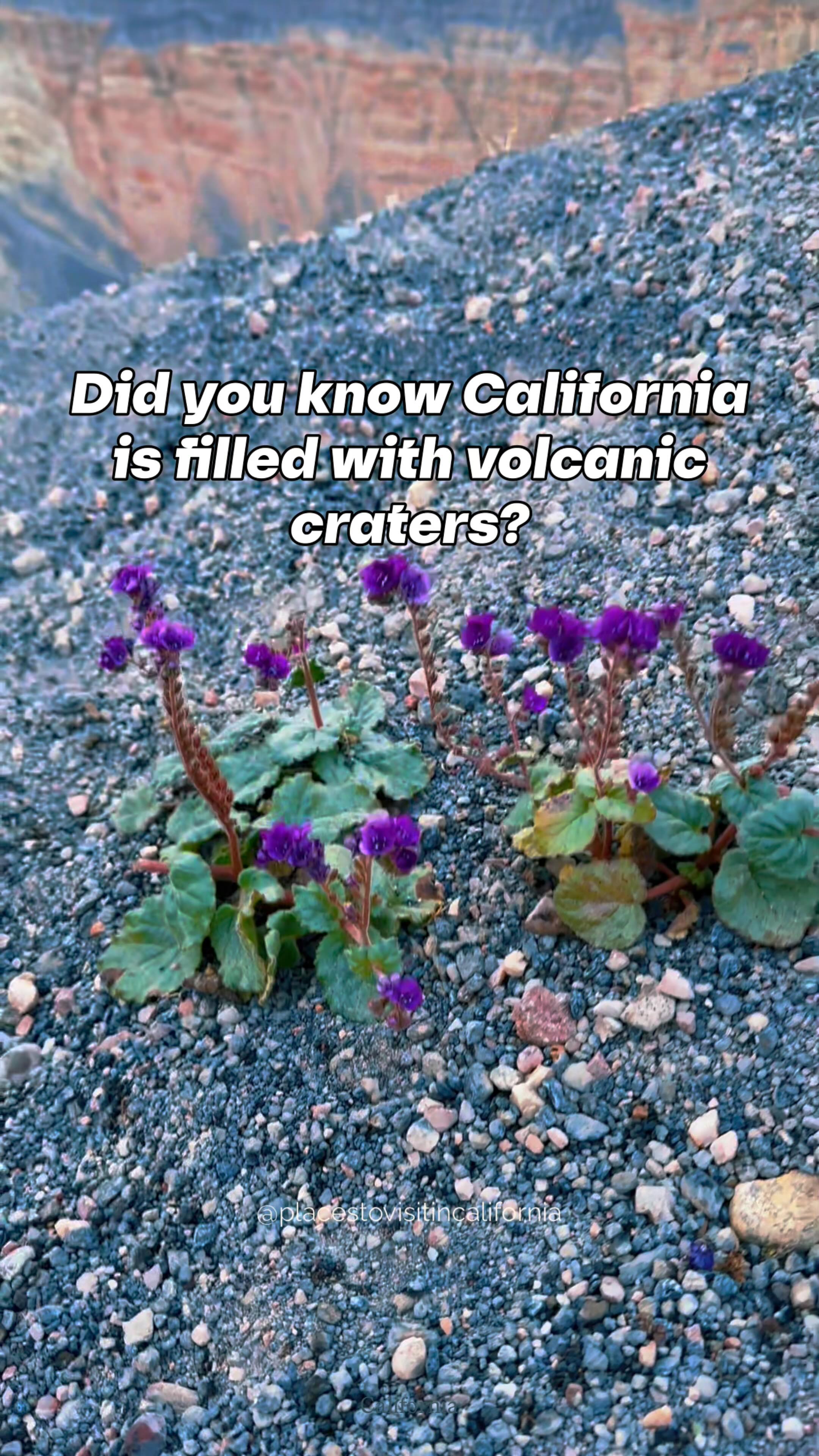 📍 Craters of California Details
California’s landscape is more volcanic than most travelers realize. From the vast, 600-foot-deep Ubehebe Crater in Death Valley to the perfectly symmetrical Amboy Crater along Route 66, the state hides dramatic reminders of its fiery past.
Four standouts invite exploration: Ubehebe Crater with its colorful volcanic layers, Amboy Crater rising stark from the Mojave, Panum Crater at Mono Lake filled with glistening obsidian, and Lassen’s Cinder Cone, framed by the Painted Dunes. Each offers a striking blend of geologic wonder and adventure, waiting to be discovered on foot.
✨Follow @placestovisitincalifornia for curated inspiration on where to travel, stay, and call home along California’s coast and beyond.
Dreaming of the open road? Discover California’s most breathtaking routes with our complimentary guide to the Top 5 Scenic Drives. Comment or send a message with “Roadtrip” to receive your copy.
.
.
Hashtags: #placestovisitincalifornia #California #travelcalifornia #Californiatravel #explorecalifornia #californiaadventure #epicview #desert #desertbeauty #desertlife #desertlandscape #desertvibes #nationalpark #volcano #volcanoes
#amboy #lassen #route66 #mojave #mojavedesert #findyourpark #nationalpark #nationalparks #nationalparksusa #roadtrip #visitcalifornia #deathvalleynationalpark
#lassenvolcanicnationalpark