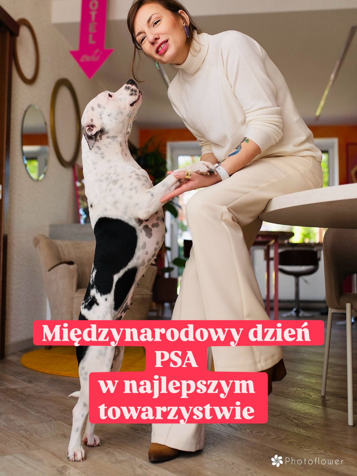Kto odwiedził mnie w mojej pracowni wie, że nie pracuję tam sama. Towarzyszy mi ukochane Lwiątko z Cintry. Czasem podpowiada, czasem uspokaja, czasem nawet pozwala wbić się na swój podpisany fotel.
Wszystkiego co najlepsze dla wszystkich Psinek!
#pracownia #projektantwnętrztoruń #projektywnętrztoruń #pieswpracy #mojzespol #psinka #amstaff #dalmatyńczyk #matosek #wnetrze #przytulnewnętrza #psijazne #psijaznemiejsce
Fotki @studio_photoflower
