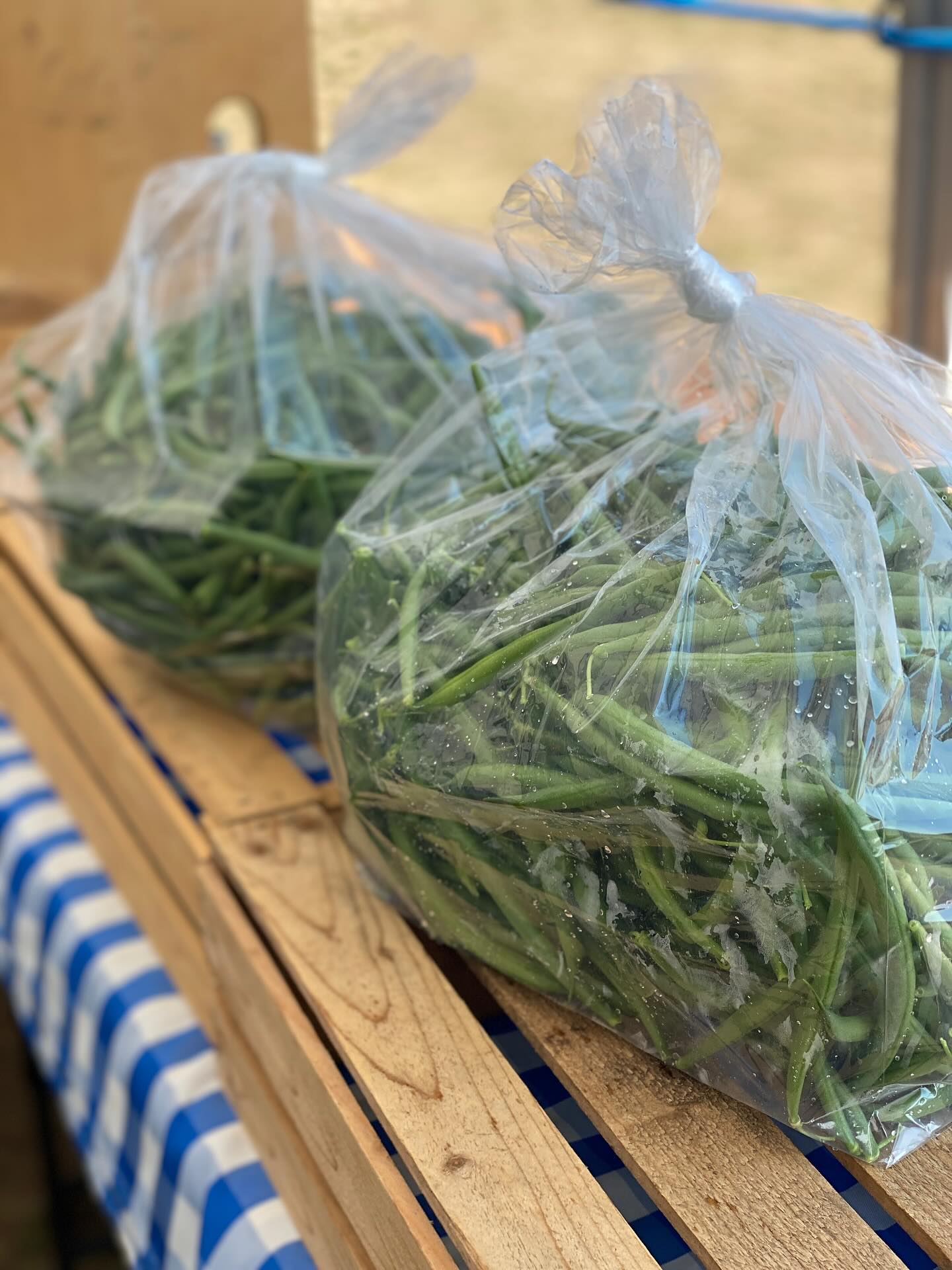For all the green bean canning enthusiasts, we have a one time deal. 5 lbs bags of our freshest green beans. Come find us today at the @mounthoodfarmersmarket or tomorrow at the @greshamfarmersmarket.