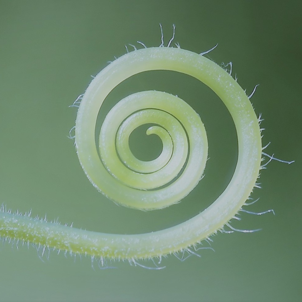 🌱Dein individueller Weg
Der Drang der Selbstentfaltung ist eine der stärksten Kräfte in uns. Von ihr hängt es ab, ob unser Leben sinnvoll und lebenswert ist.🌳
Authentic Movement in der Einzelbegleitung🌈