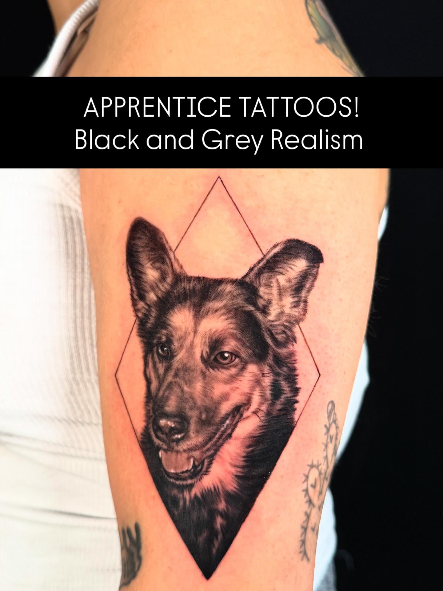 Finally posting still photos of my tattoos, starting from the very beginning :)
Apprentice Tattoo Dump: Black and Grey Realism (December 2024 - April 2025)
MY FAVORITE STYLE!!!!!!! I’m mostly a charcoal portrait artist on paper, so this style feels like home to me. Learning how to work a drop system felt like using different hard/black pencils, so it wasn’t too difficult for me to pick up on. Details are my jammmm 🙂↕️ I always get extra excited when a black and grey realism piece comes my way, but that doesn’t mean I won’t stay open to all styles. I just hope I can call myself a specialist in this area one day!! 
#tattoos #apprenticetattoos #blackandgreytattoo #blackandgreyrealism #femaletattooartist #arizonatattooartist