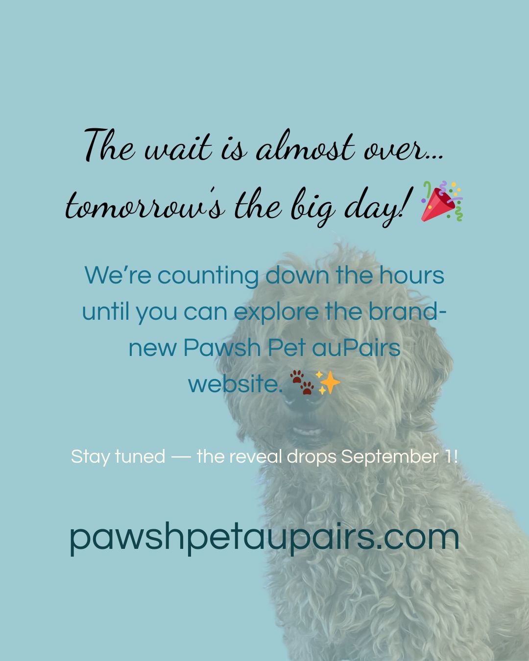 The wait is almost over… tomorrow’s the big reveal! 🐾✨
We’ve poured heart, soul, and lots of love (with a little golden doodle inspiration along the way 💛) into creating a brand-new Pawsh Pet auPairs website.
In just one more day, you’ll be able to explore our fresh design, easy-to-use services page, and the story behind what makes us who we are. 🌟
See you on September 1 for launch day! 🚀
#CountdownToLaunch #WebsiteReveal #PawshPetauPairs #PetLove