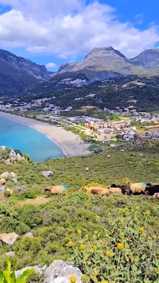 🍂✨ Final call for 2025 retreats with Nefeli Nine ✨🍂
The summer might be wrapping up, but there’s still plenty of adventure to be had. From the sea air of Dikastika to the mountain paths of Zagorochoria, here’s where you can still join us this season:
🥾🧘 Pelion Hiking & Yoga
📍 7–13 Sept
Only 1 spot left – don’t hang about!
🌊🌞 Signature Retreat – Dikastika
📍 5–11 Oct → FULL
📍 19–25 Oct → 3 spaces left
🏔️🍂 Zagorochoria Trekking Adventure
📍 12–18 Oct → FULL
📍 26 Oct – 1 Nov → New dates just added
🌺🌊 Crete Hiking & Yoga
📍 2–8 Nov → 3 spaces left
If you’ve been meaning to treat yourself before the year is out – this is your chance. Book via the website or drop me a DM. Let’s make this autumn unforgettable. 🌿✨
.
.
.
.
.
.
.
.
.
.
.
.
#nefelinineretreats #hikingandyogaadventures #yogaandhiking #wellnessretreats #mindfultravel #yogaholiday #autumnretreat #travelwithpurpose #outdooradventures #mountainretreat #seaviews #yogatravel #exploregreece #wellbeingjourney #retreatlife #slowtravel #hikinggreece #naturegetaway #nature_greece #GreekMountains