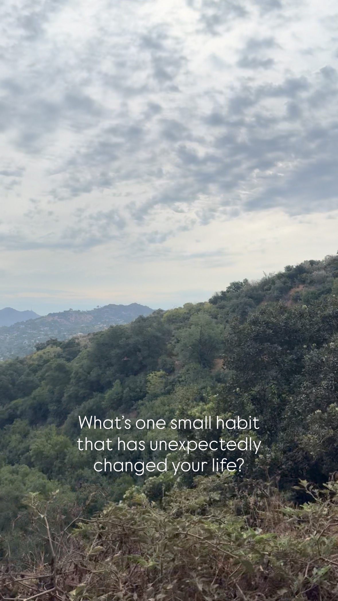 It’s the small things that create the bigger outcome.
Leave in the comments below what’s your small habit.
If you don’t have one:
What’s one thing that you could do differently that you see would enhance or bring you more in alignment with what you want. Leave in the comments below.
#small #steps #coach #mind #habits #health #wellbeing #shift #path #wellness #goals #mindfulness #create