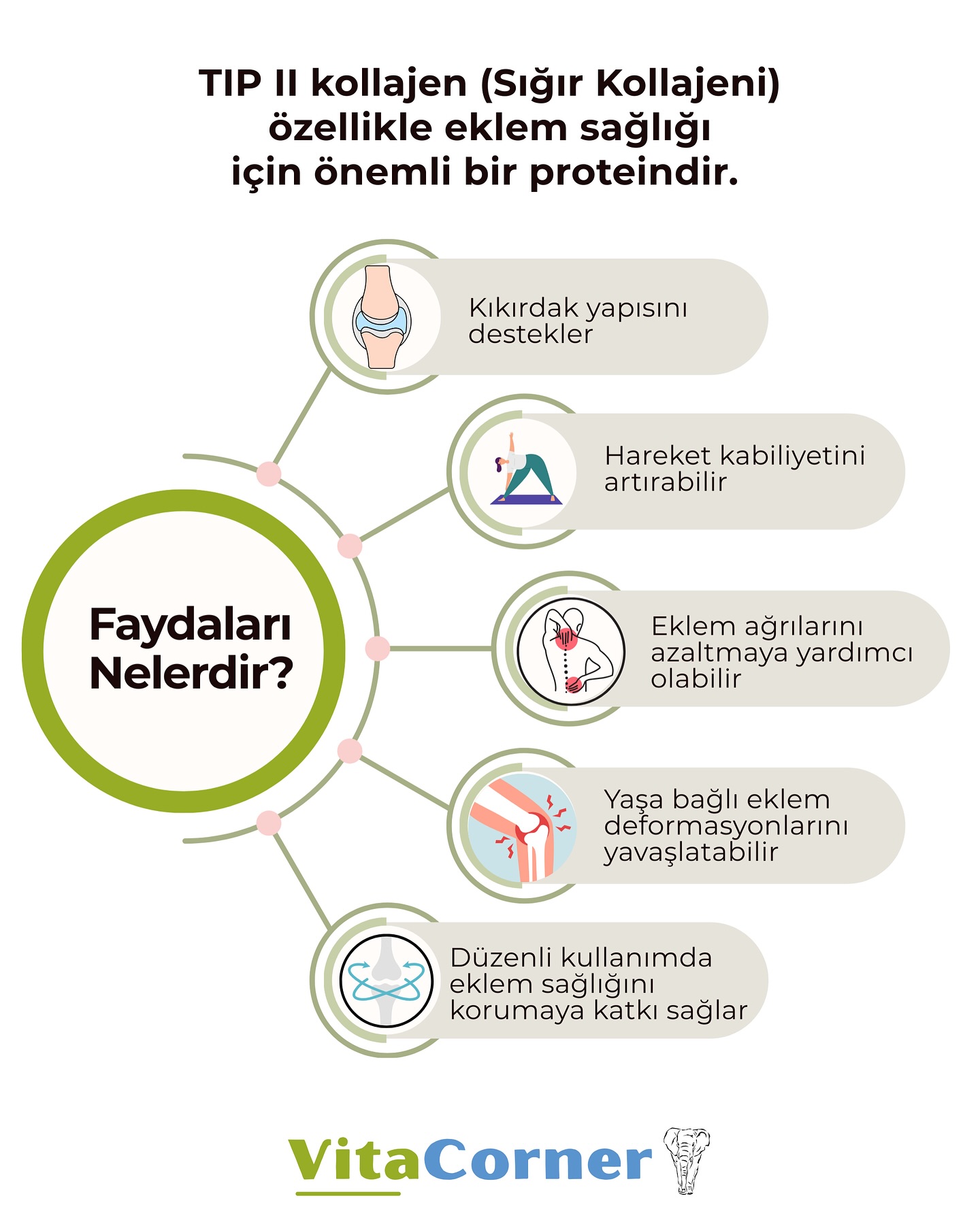 TIP II Kollajen düzenli kullanımda eklem sağlığını korumaya katkı sağlar. Özellikle sporcular, ileri yaş grupları ve eklem rahatsızlığı yaşayanlar için önerilir.
Detaylı Bilgi ve Satın Almak İçin
www.vitacorner.com
📲0531 086 69 64
#vitamin #dişsıkma #takviyeedicigida