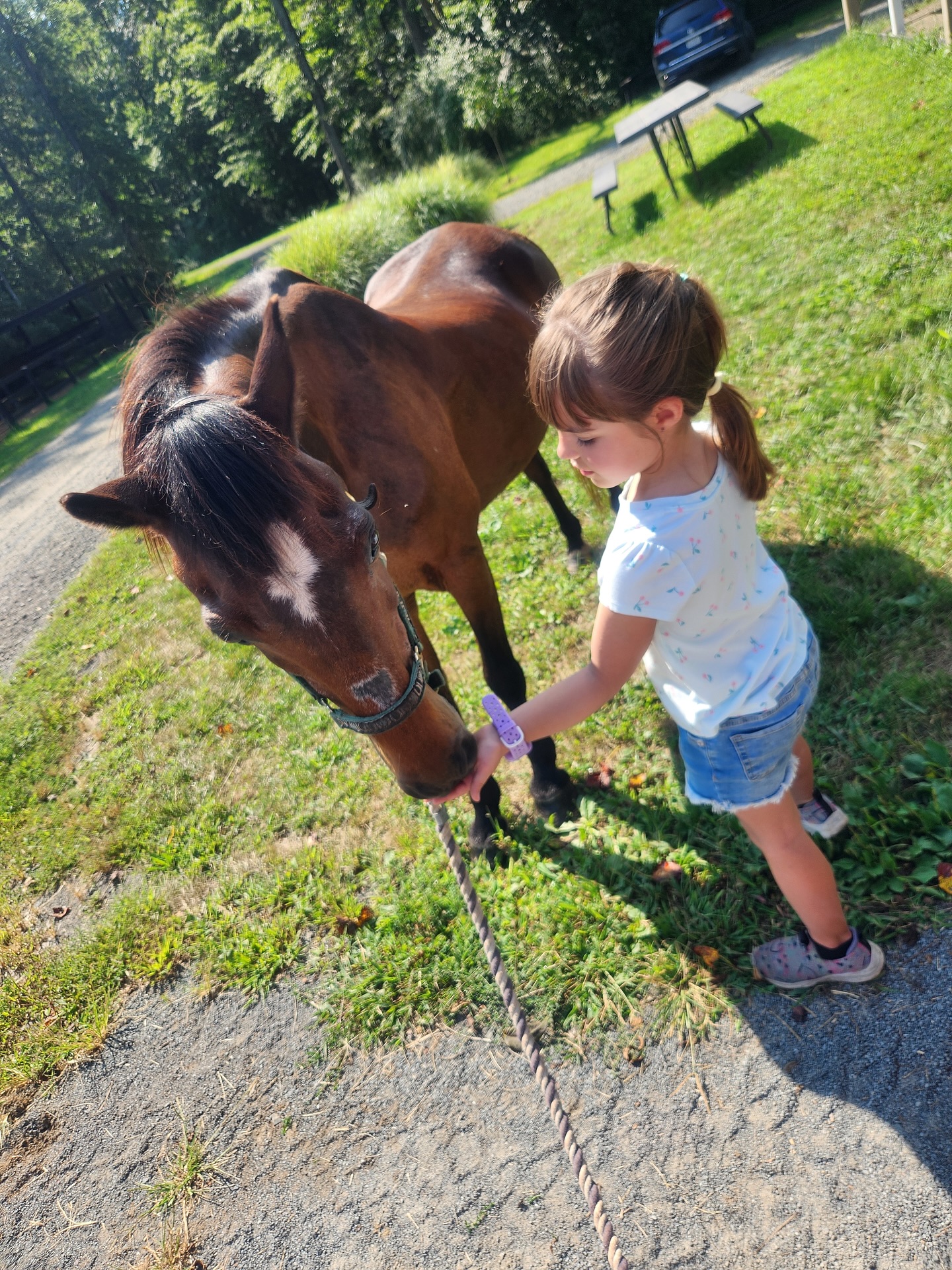 Safe. Sweet. Kid-approved. ✨
Cricket is ready for his forever companion home! 🐴💕
This 25-year-old cutie (13.1h) may be a little shy at first, but he loves attention, especially from kids! 🩵
He’s barefoot, UTD on care, super safe to handle, and easy-going with the herd (best buddy included, but not buddy sour).
Cricket is the perfect gentle companion pony looking for a family to love. 🐴
📩 DM me if you think Cricket could be “the one”! #AdoptDontShop #RescueHorse #ForeverHome #HorseRescue #AdoptableHorse #EquineLove