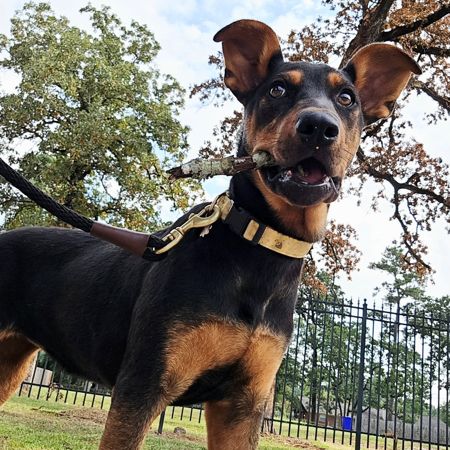 My sweet baby, Bee! 🐝