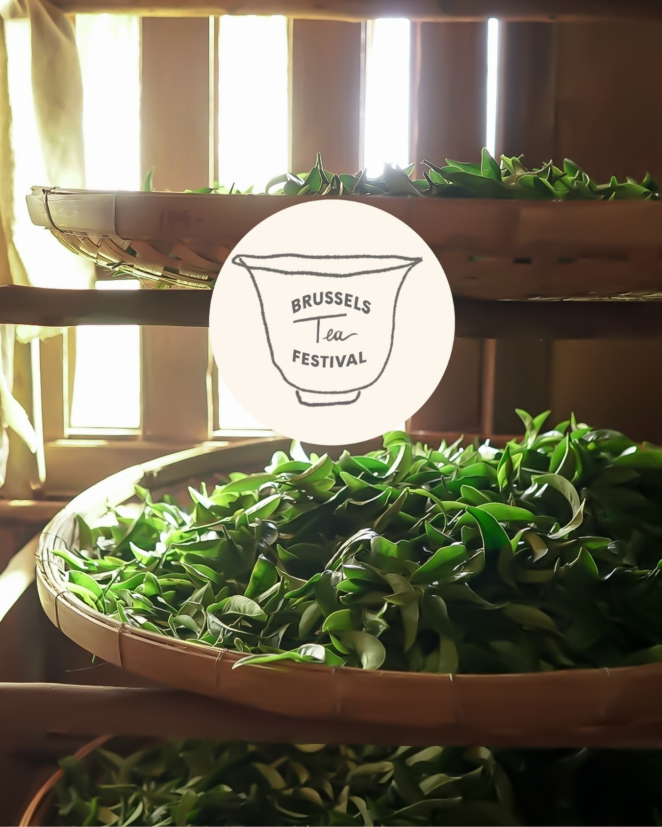 🇬🇧 INDIA – The other tea giant
🍃 World’s 2nd largest tea producer
🌱 Over 1.3 million tons of tea per year
🍂 Famous for its iconic black teas: Darjeeling, Assam, Nilgiri
🌄 Rich and contrasting terroirs shaped by altitude and monsoon
India is large-scale production, yes, as well as high-quality productions and also a culture of flavour, hospitality and connection.
🫖 Discover its bold classics, new expressions and craft teas at the Brussels Tea Festival®.
🗓️ September 28, 2025
📍 Flagey – Brussels
🎟️ Tickets available in bio
—
🇮🇳 INDE – L’autre géant du thé
🍃 2e producteur mondial
🌱 Plus de 1,3 million de tonnes de thé chaque année
🍂 Réputée pour ses thés noirs iconiques : Darjeeling, Assam, Nilgiri
🌄 Des terroirs puissants, contrastés, influencés par l’altitude et la mousson
L’Inde, c’est le thé à grande échelle, avec des thés de grande qualité également, et aussi une culture du goût, de l’accueil et du partage.
🫖 Venez découvrir ses grands classiques, mais aussi ses nouveautés et ses thés d’auteur au Brussels Tea Festival®.
🗓️ 28 septembre 2025
📍 Flagey – Bruxelles
🎟️ Billets en ligne dans la bio
#BrusselsTeaFestival #CeciNestPasUnFestival #BTF2025 #MagritteSpirit #TeaFromIndia #ThisIsNotAFestival #EspritMagritte #flagey #brusselsteafestival®