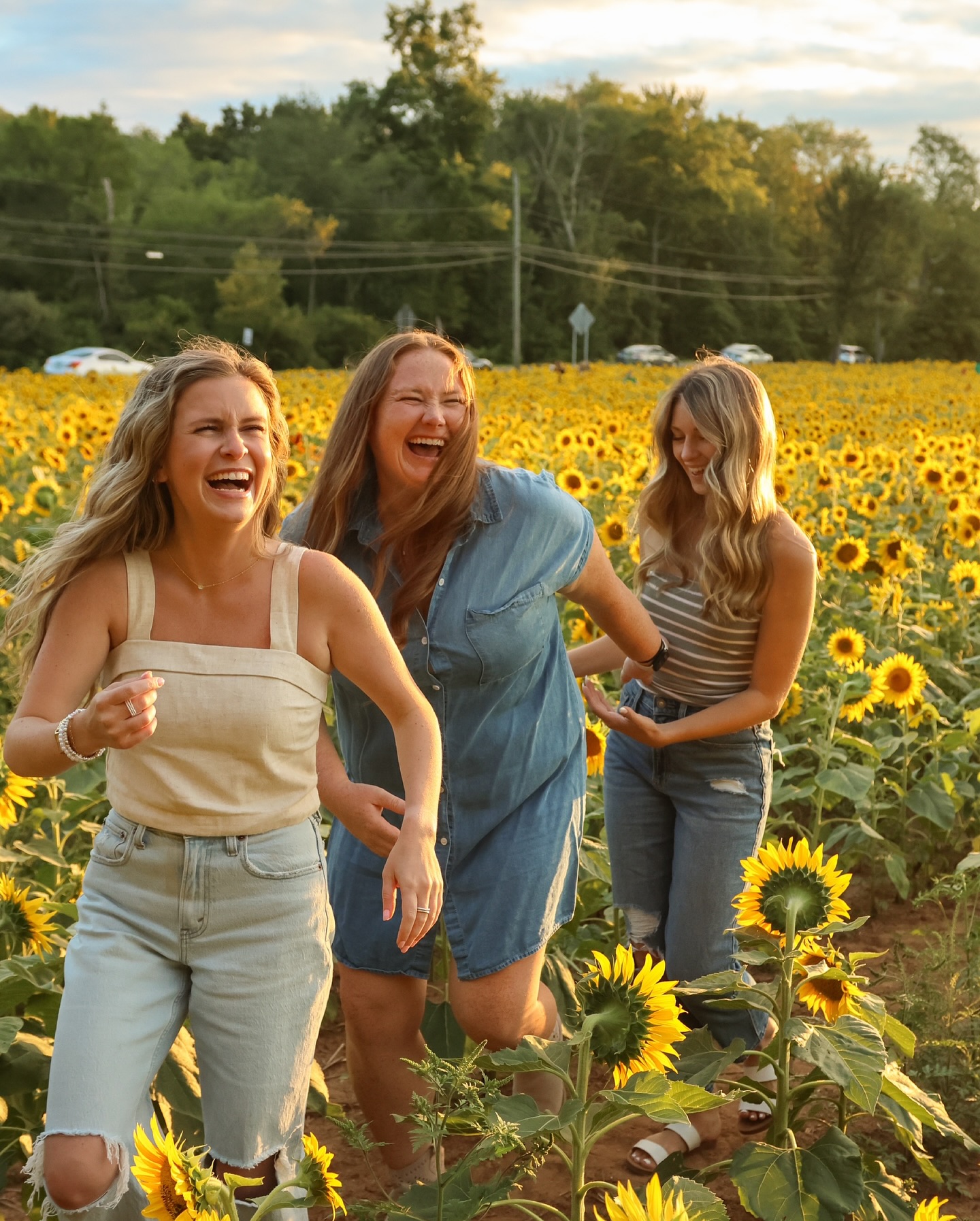 Golden hour 📸🌻
#photography #photoshoot #sunflowerfield #connecticutphotographer #ct