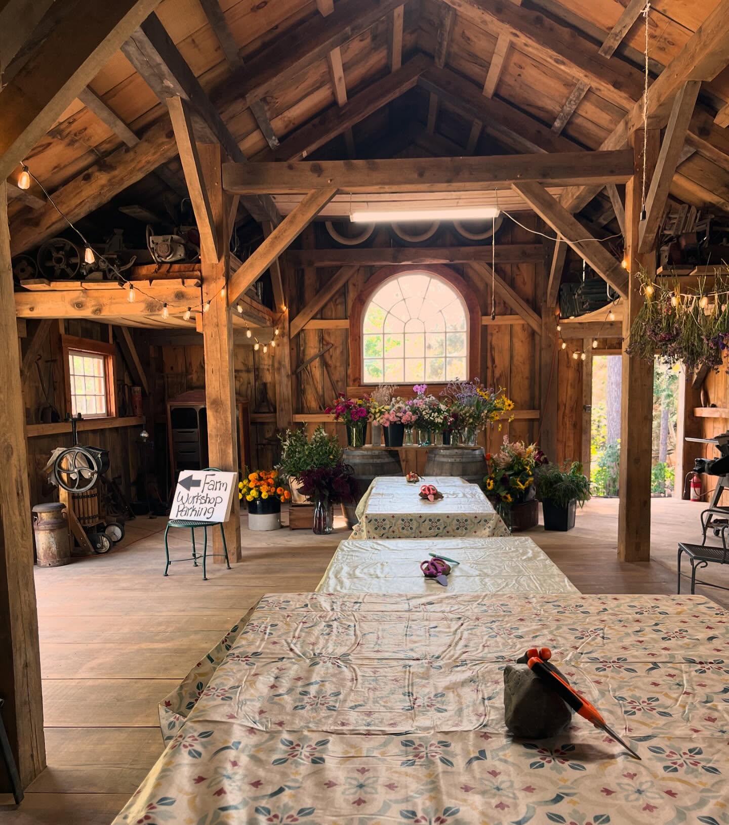 Thanks to everyone who came out last night for our first farm workshop! We loved being able to share our farm with you all! We are looking forward to doing more!
Keep your eye out for our next one! We are now planning our pumpkin decorating workshop for the end of September ♥️🎃🌸