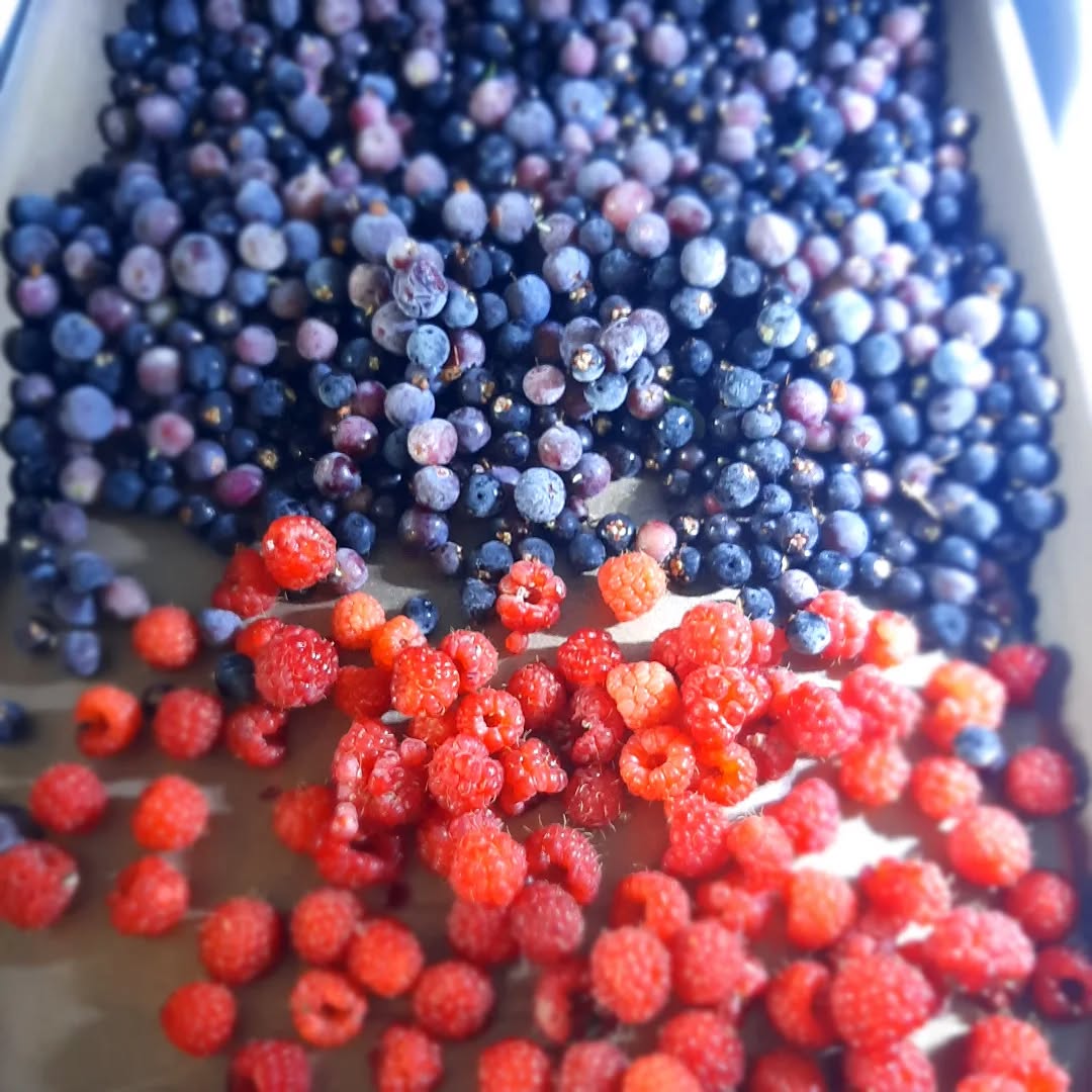 “Love takes off the masks that we fear we cannot live without and know we cannot live within. I use the word “love” here not merely in the personal sense but as a state of being, or a state of grace – not in the infantile American sense of being made happy but in the tough and universal sense of quest and daring and growth.”
― James Baldwin, The Fire Next Time