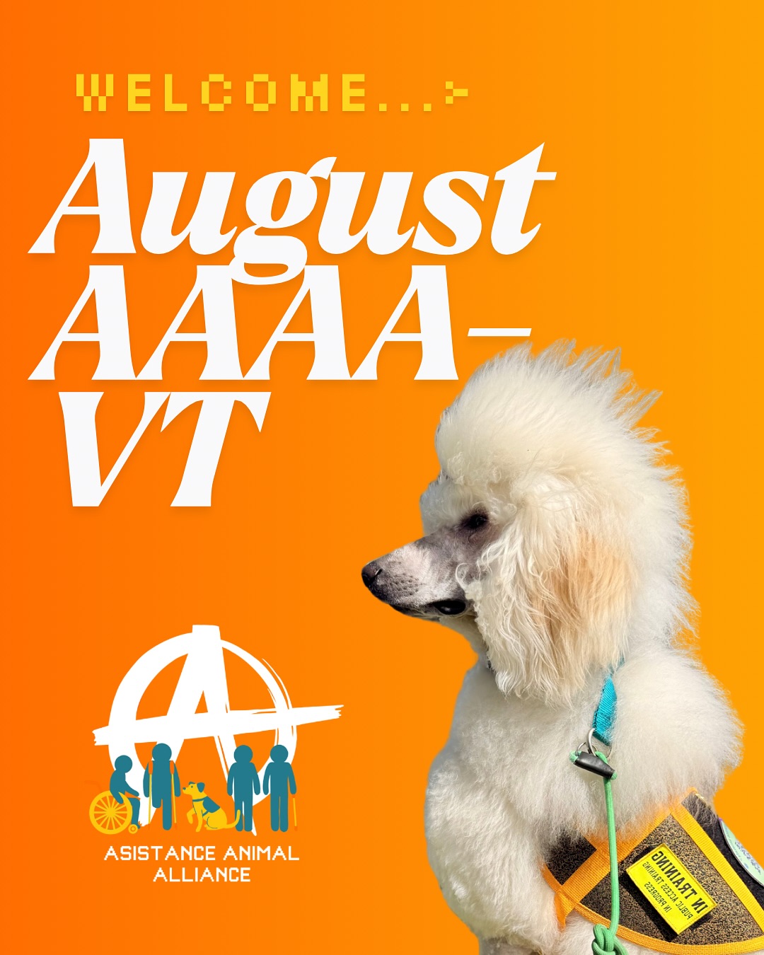 As August is coming to a close, we would like to welcome the first few recipients of our AAAA-VT credential!
Ashley Lambert @thechaoscanine is a dog trainer with a "practical fear free approach." Her work speaks for itself in terms of uplifting AAAA core values, helping many handlers through their service dog journey in a manner that is down-to-earth and rooted in both science and anti-colonial practice. We are so pleased to have them as our first AAAA-VT. In her words, "There's community, not leaders."
AAAA co-founder Daphne Mendoza Tervanis @adogtrainerlife takes a relationship based approach to dog training. Her work within the dog training world is based in community and decolonization. In a world where hyper-individualism is pushed upon us, Daphne strongly believes that working together is the way to dismantle harmful systems. She walks the walk, delivering accessible training lessons and MULTIPLE low cost community training programs within Chicagoland and beyond.
Moth Donahue @feywild.dogs is the other co-founder of AAAA. They are a self-described force free dog trainer for the real world. Their training is done with human and canine mental health in mind-- a punchy line, considering they also work as a mental health therapist. Feminist, relational, and collaborative, they hope to use AAAA to break down systemic barriers to service dog training.
We have many more applications currently in progress, so look out for more trainers receiving AAAA-VT status in September. Our database of AAAA-VT recipients will become public as soon as possible.
✨✨✨