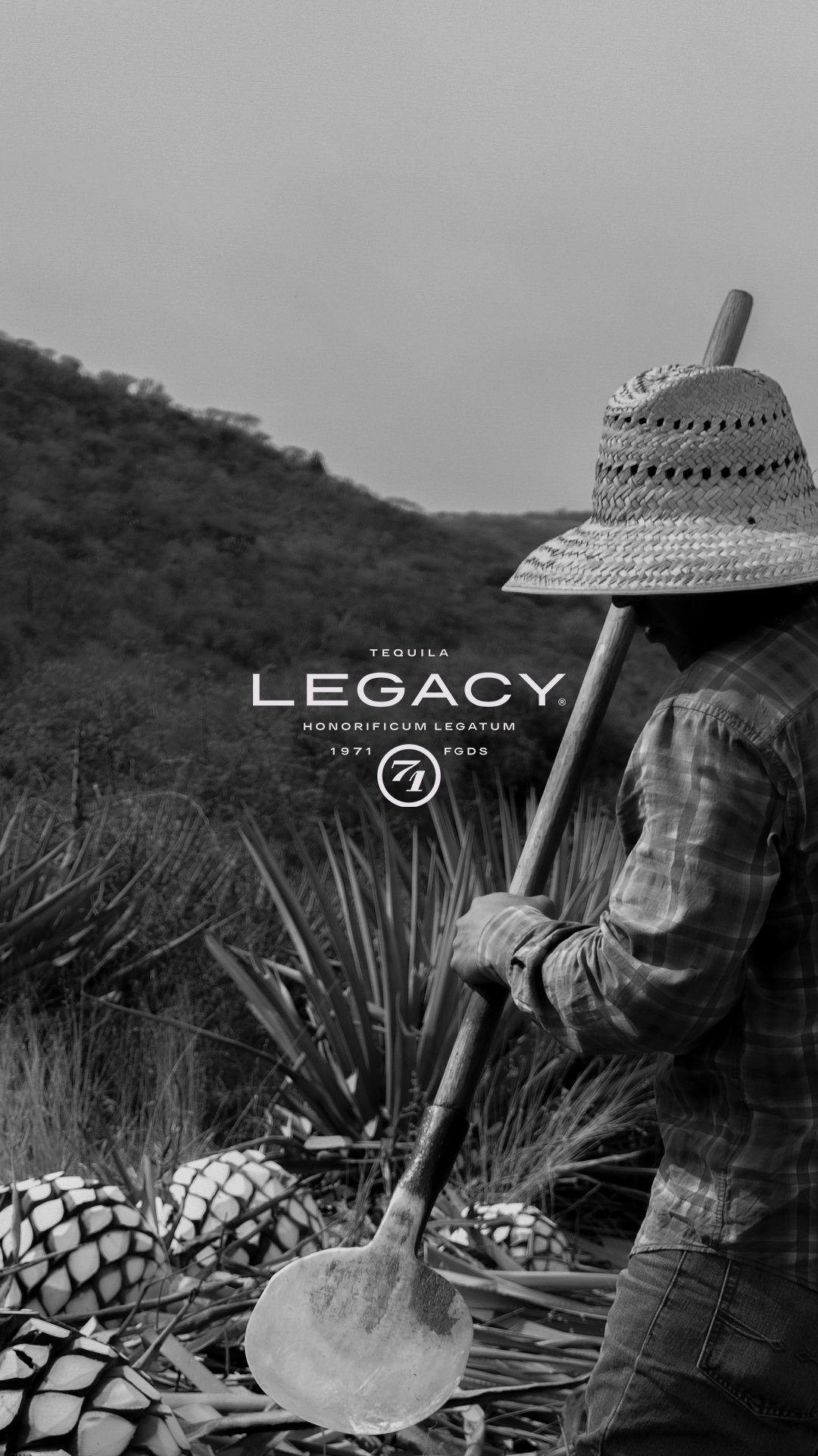 The final stage before becoming a legacy. Coming soon 🥃✨🐺
La etapa final antes de convertirse en legado. Próximamente.
#legacy71 #tequila #atotonilco