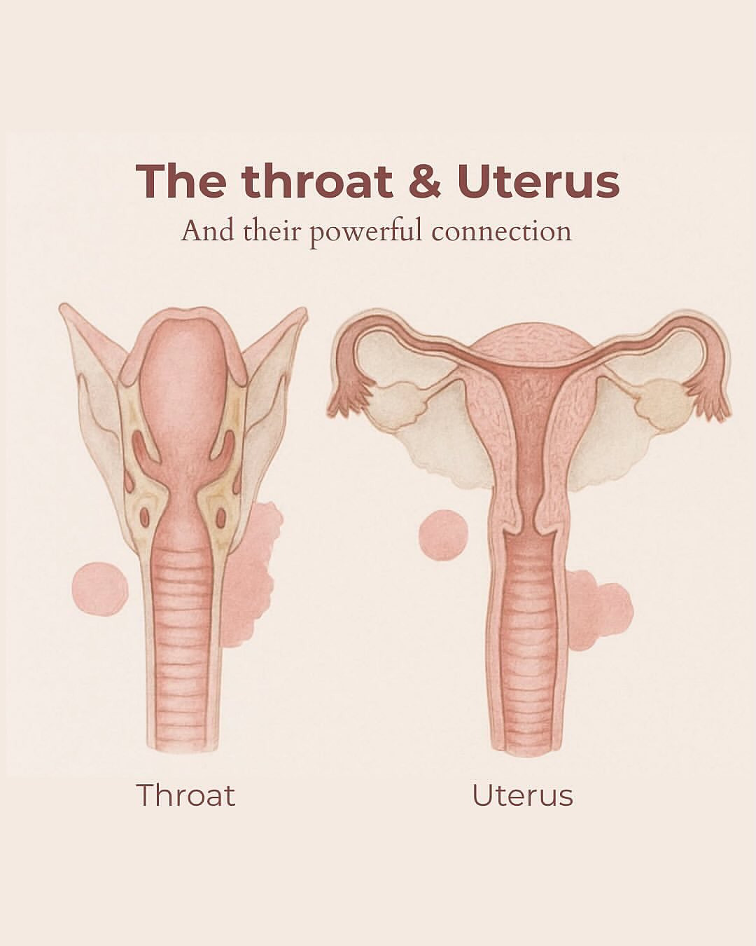 Powerful info to be conscious about 🌟Repost from @orgasmicbirth
•
The Throat–Cervix Connection 🌀
Did you know that tension in your jaw or throat can directly affect your pelvis and cervix? It’s true — the body is deeply interconnected.
Doulas and birth workers often observe that when a birthing person holds tension in the throat or jaw, it can create tightness in the pelvis. That’s why during labor, they encourage vocalizing, jaw relaxation, and deep breathing—to help the body open and soften.
A relaxed mouth can support a relaxed cervix.
An open throat can support an open womb.
The body speaks in connection ❤️🔥
@withregram • @cycleseeds Allow your voice and your truth 🫶
It actually supports your uterus!
When you allow words to sit like lumps in your throat, you carry a mirroring tension in your uterus and pelvis.
Swipe to the last slide for some simple exercises to release this tension 🎶
Beautiful image of the throat and uterus thanks to @_floragouveia 😘
#uteruslove #throatanduterusconnection #yourvoiceisyourpower