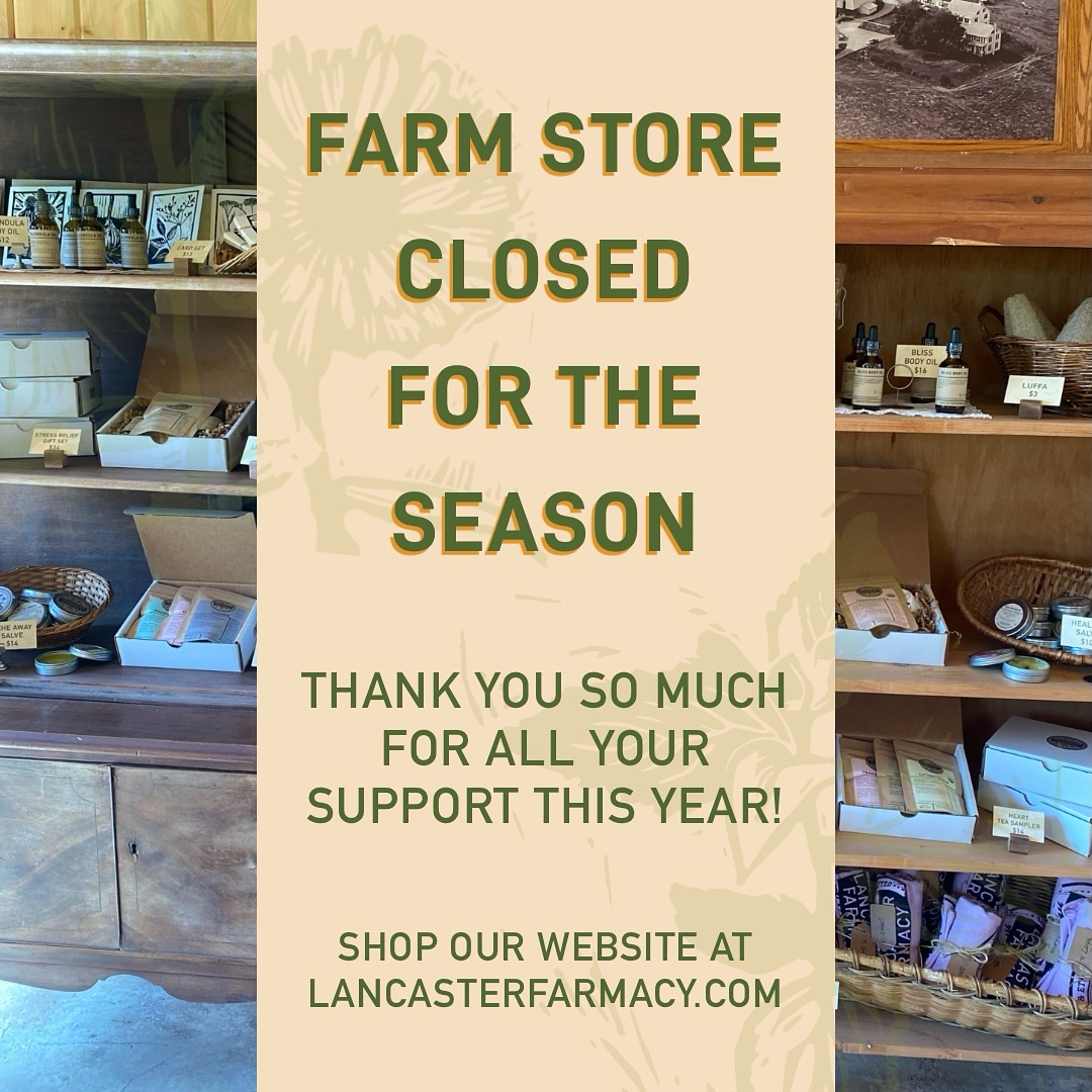 Farm store announcement! 🧺
We have decided to close the doors to our farm store for the season to focus efforts elsewhere on the farm. We want to thank everyone who payed us a visit this season, your support means the world to us!
If you didn’t get the chance to make it out and stock your herbal apothecary for the colder seasons, don’t fret! All of our herbal offerings are available for purchase on our webstore via the link in our bio.
May your mugs be filled with warm tea as we transition into fall 🍂🫖
