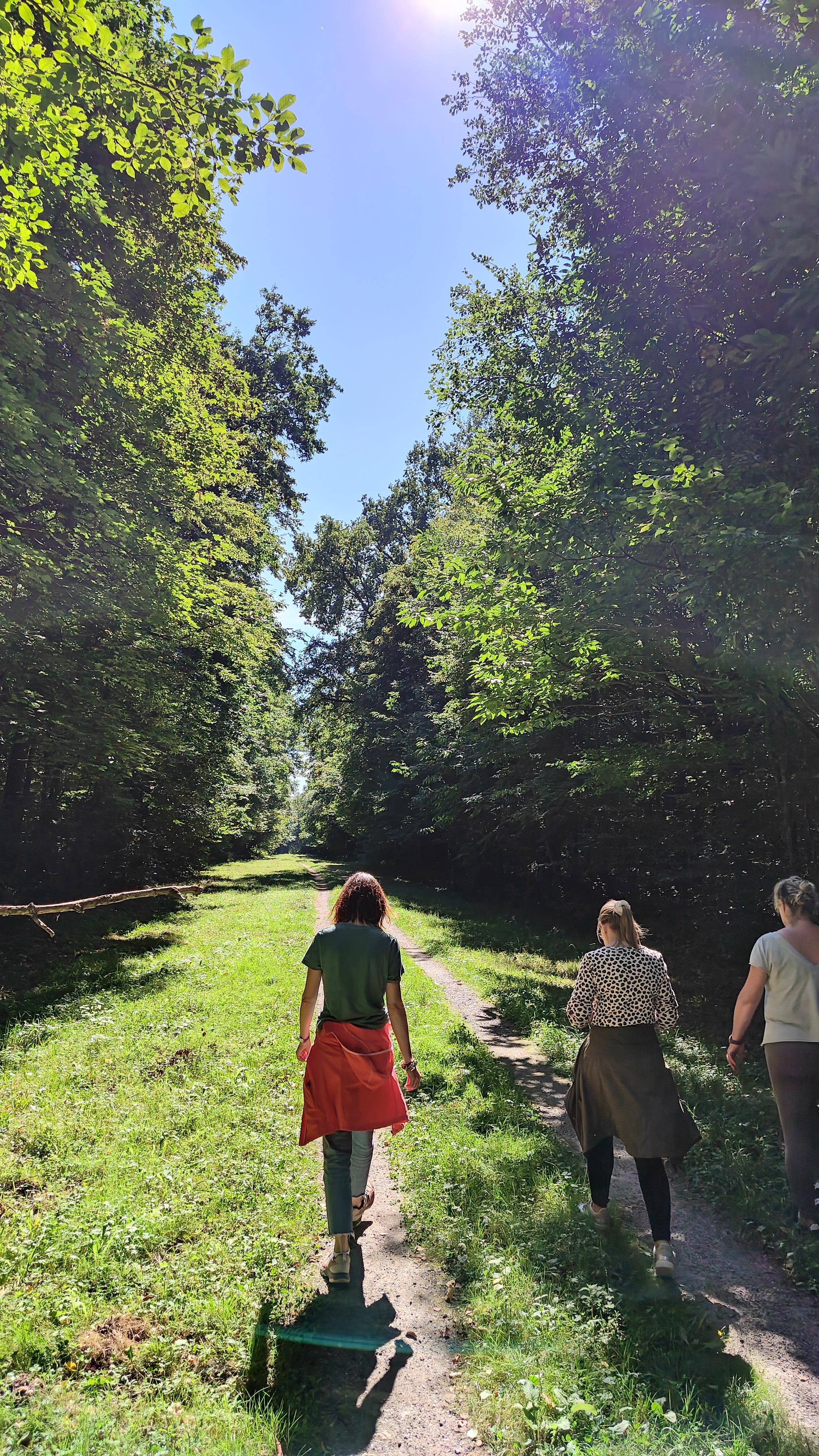 🍀 Un WEEK-END hors du temps
.
Que reste-t-il après une retraite ? Des images, des saveurs, des éclats de rire... et une douce vibration qui continue de résonner en nous.
.
Ce week-end, nous avons eu la chance de partager une parenthèse magique avec un groupe de personnes incroyablement créatives et bienveillantes.
Ensemble, nous avons
🎨 Dessiné et peint, laissant nos âmes s’exprimer sur le papier
📜 Voyagé dans le temps avec une initiation au sanskrit et aux neurosciences
🧘♀️ Plongé au cœur du silence à travers la méditation
🌳 Respiré l’air pur de la forêt lors de balades ressourçantes
🍲 Nourri nos corps et nos esprits avec de délicieux repas ayurvédiques
et plus encore ...
.
Un immense merci à chaque participant(e) pour sa présence, son ouverture et sa lumière. C’est votre énergie qui rend ces moments si précieux. 🙏
.
Envie de nous rejoindre la prochaine fois ?
Les dates des futures retraites seront annoncées en priorité à nos abonnés.
.
Inscrivez-vous à notre newsletter pour ne rien manquer sur www.sounyoga.fr
.
.
#RetraiteYoga #YogaRetreat #reconnect #reconnection #terre #foret #retraiteenforêt #weekendyoga #BienEtre #Nature #Ayurveda #Creativite #Sanskrit #Meditation #Partage #Merci #soundyogacompiegne #retraitesoundyoga #compiegneagglo #bainsonore #yoga #compiegne #tracyleval #tracylemont #domaineduboissaintmard