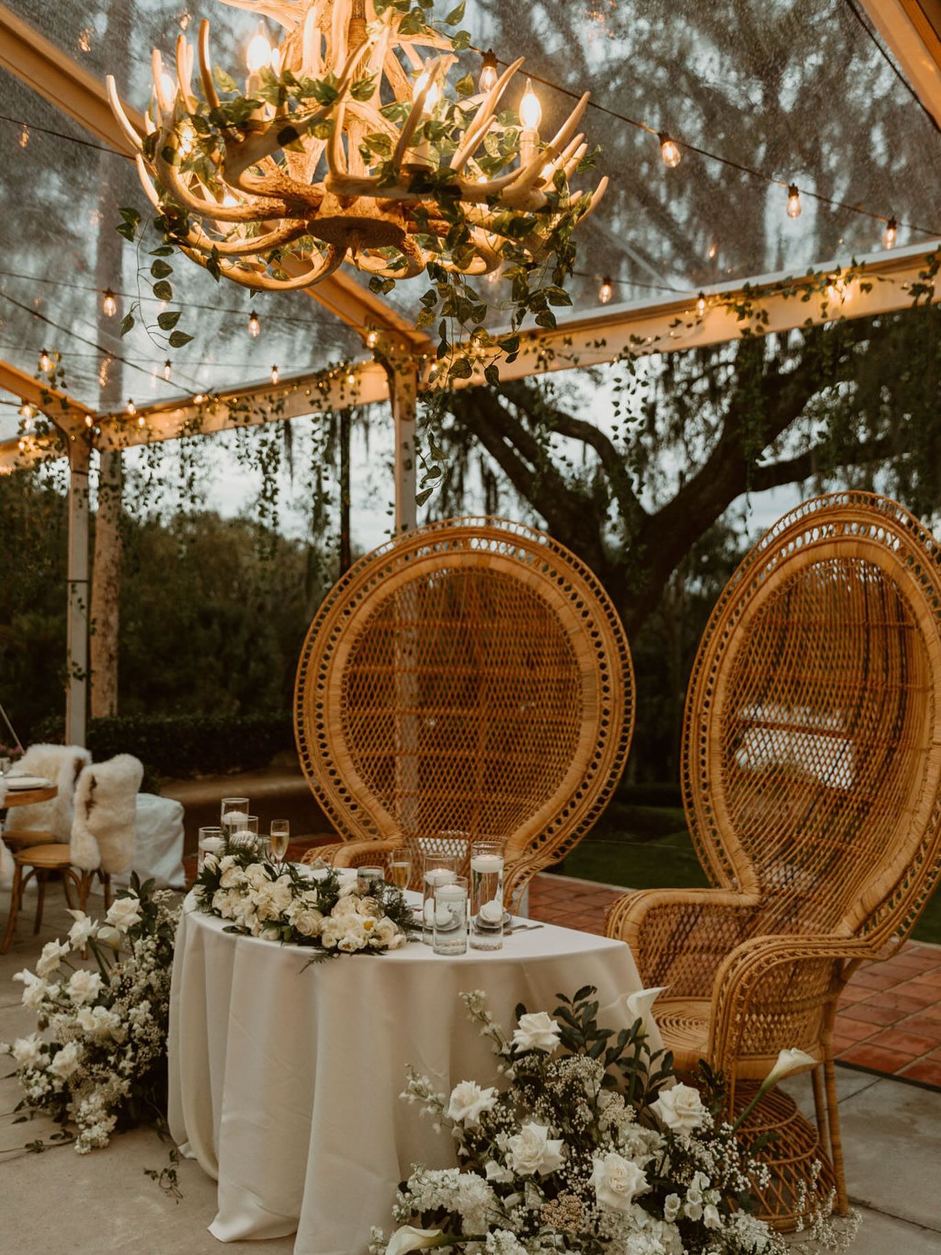 Add your personal touch to your wedding or event with our chandelier collection. It’s a great way to add functional light as well as decor all at the same time .
.
.
.
.
#tylerlightdotcom #tylerlight #uplights #led #orlandoevent #floridaevent #colorful #eventlighting #orlandodmc #corporateevent #weddinguplights #centralfloridaevent #bestleduplighting #chandelier #wedding #foodtruck #stringlight #marketlights #halloweenlighting #fairylighting #weddingvenuemap