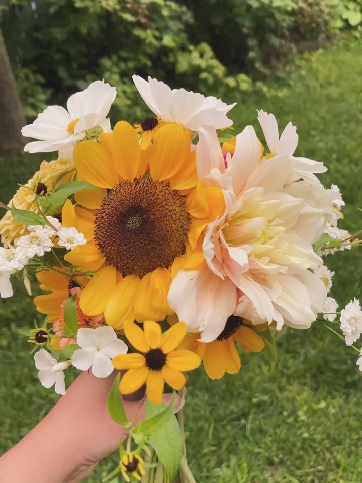 Love these cute little Black-eyed Susans we started growing this year!
This extra full dahlia and sunflower large bouquet is up for grabs. DM us or checkout on our site to bring it home 💕