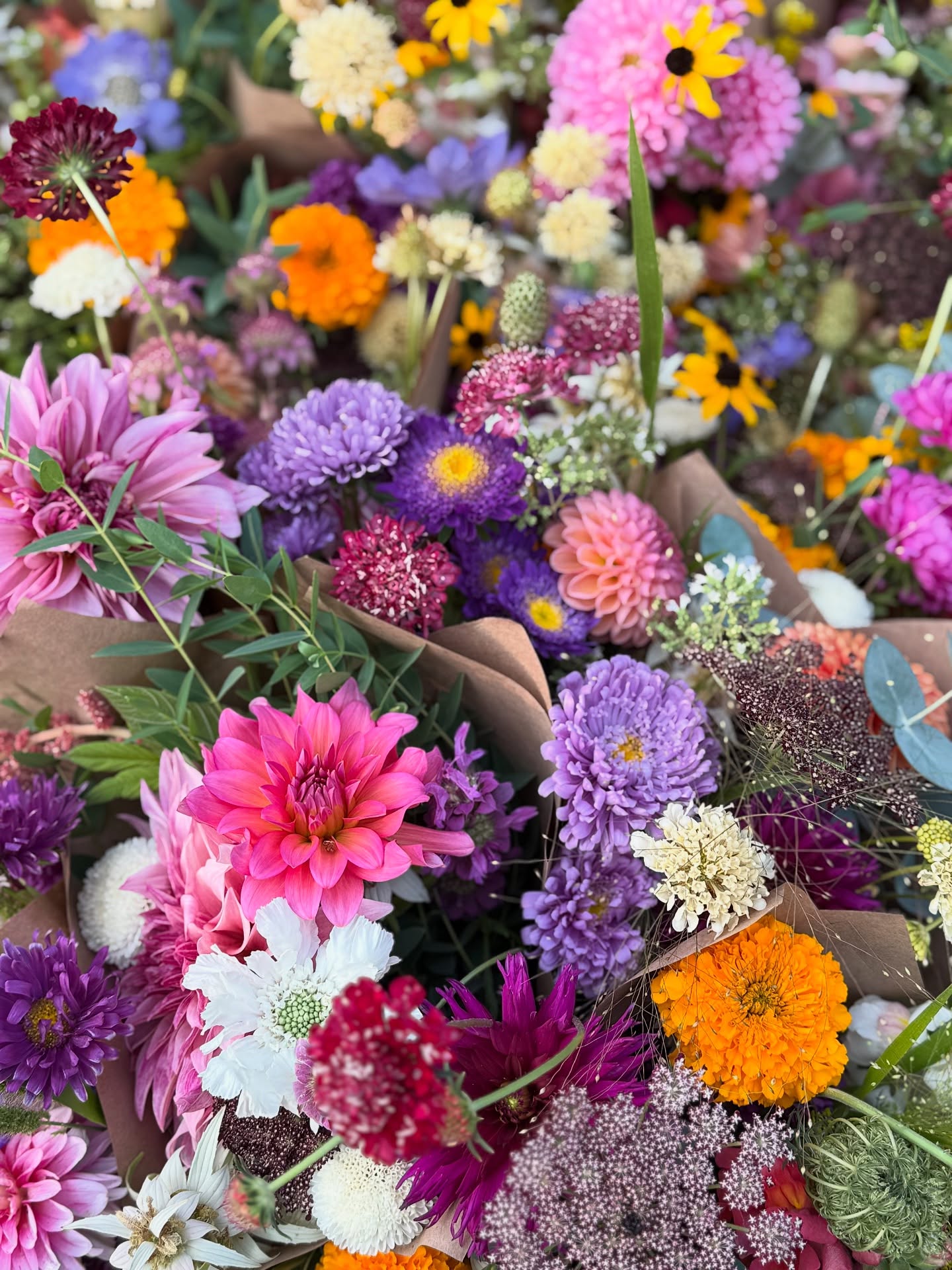 #sisterscountry I think we can all agree that it's been a stressful week. This is not over yet but thankful that all evacuation levels have been downgraded. To pay forward all of the kindness and goodwill we received during our own evacuation, I would like to gift our community some flowers from our farm. @oliverlemonssisters is hosting our flowers and pickup - just go in the store, ask for our bouquets and grab one for yourself or someone you love. Hope this adds a bit of brightness during this trying time. Please share this post so that others can learn about this. It has been inspiring to see this community come together and take care of each other. We're lucky to be here. #sistersoregon #insistersoregon