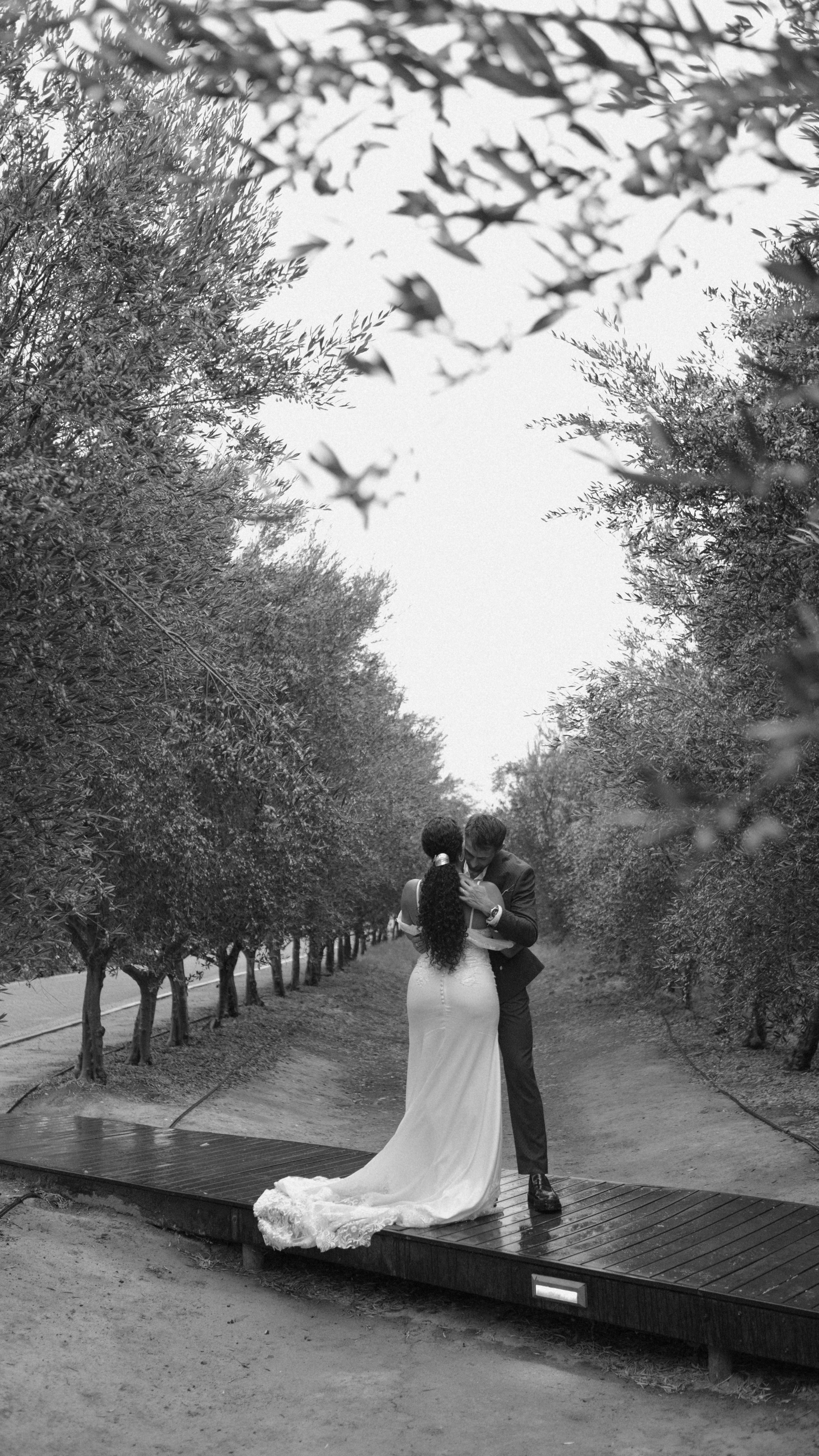 Something out of the ordinary.
#olijvenkraal #winelandswedding #capetownliving