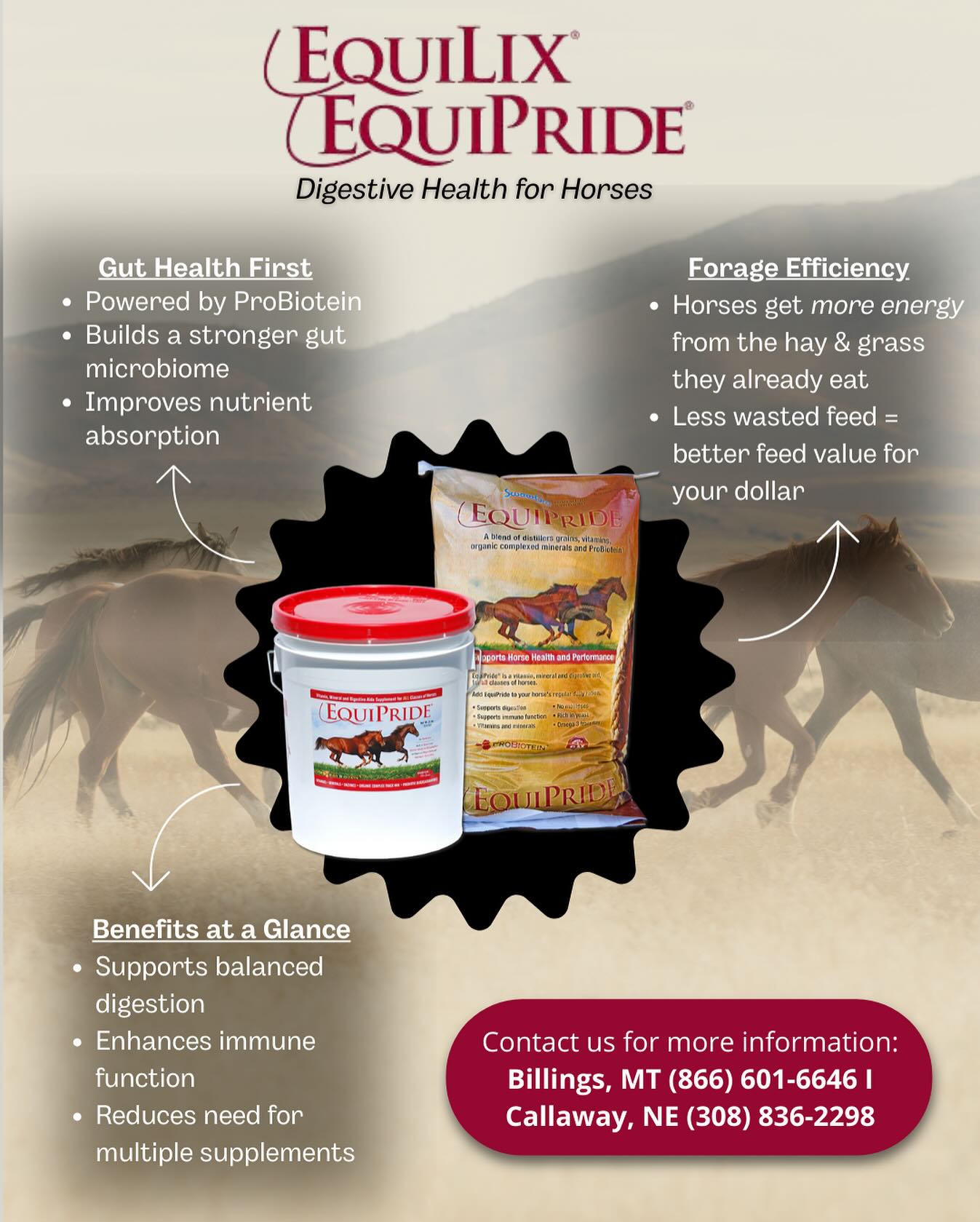 Stronger gut health, better forage efficiency, and all-in-one nutrition—EquiLix & EquiPride give your horses the digestive support they need to thrive🐴
Learn more 👉 www.agribestfeeds.com/products/equipride-and-equilix
#equinehealth #equinenutrition #equinesupplements #agribestfeeds