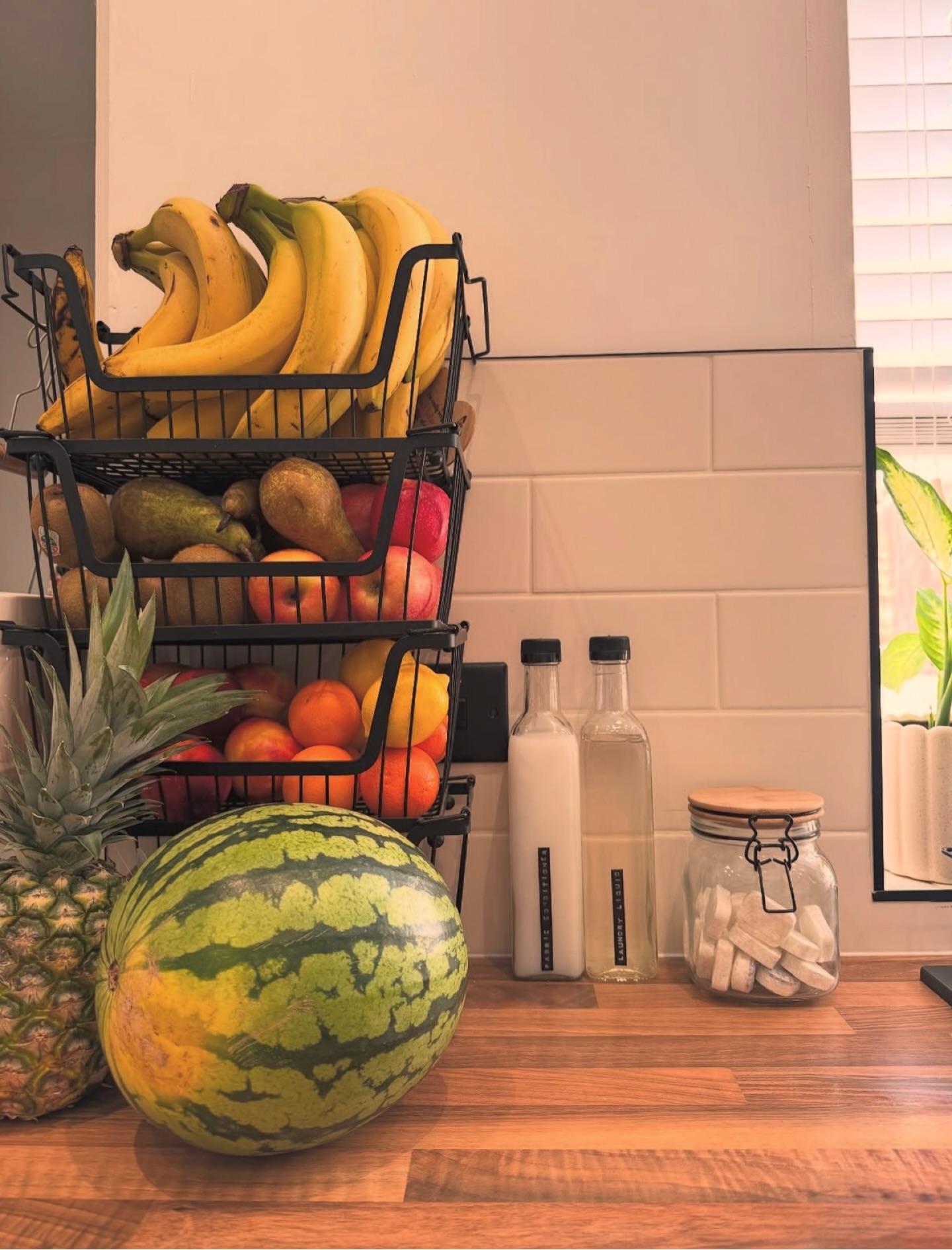We aren’t just about saving the planet with our refills, we are here to make it more aesthetically pleasing too ✨
How beautiful does our Laundry Refill Bundle look on the counter top? 🫧
We are loving @sesirefilluk ‘s Non-Bio Laundry Detergent & Fabric Conditioner 🫧
What do you think? 💭
Check out our website - we have some great bundles that will save you even more money when you refill with us 💰
#refill #refillrevolution #holisticliving #smallbusiness #businessowner #business #local #shoplocally #holisticliving #lowtoxliving