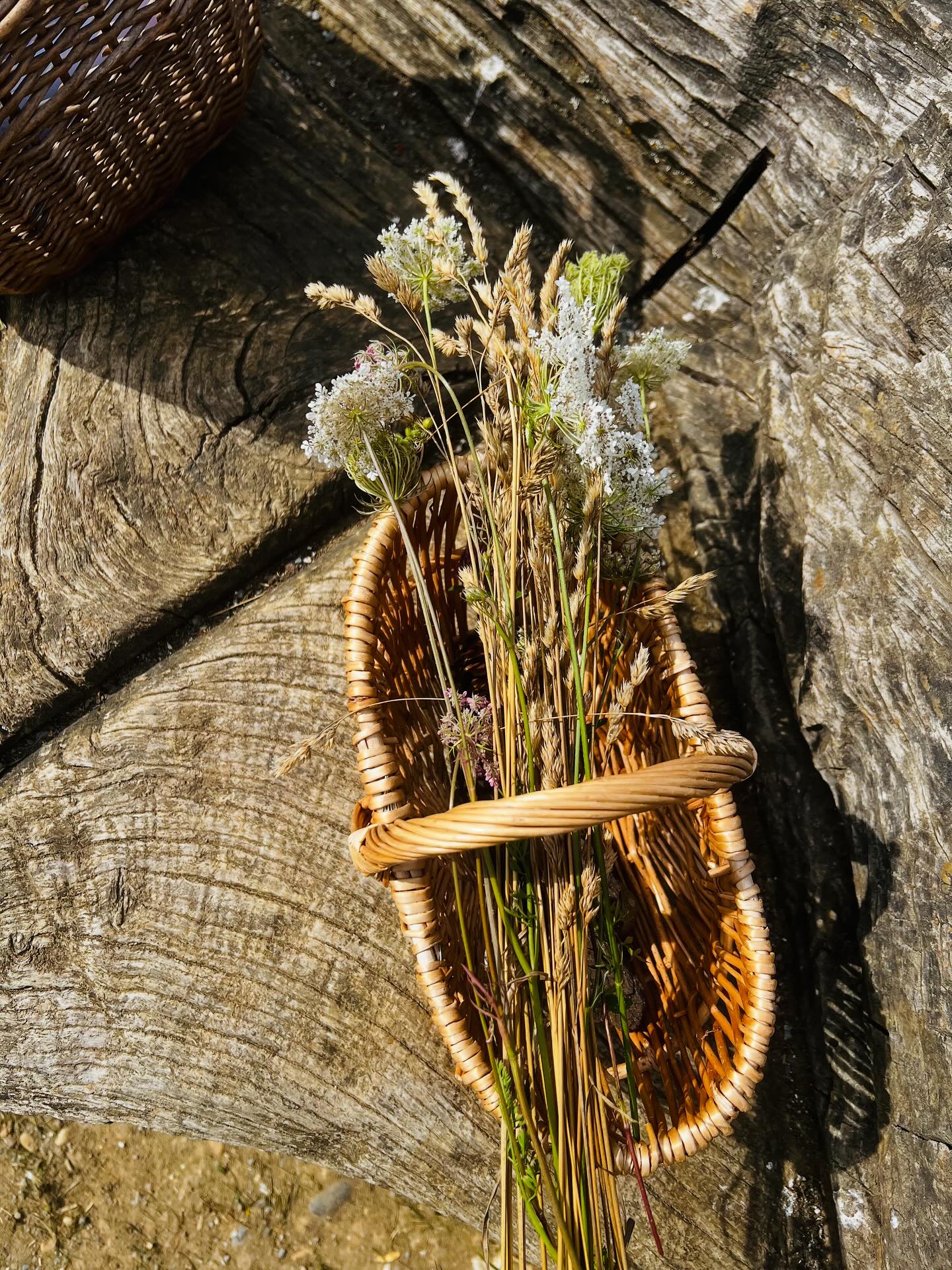 Some more snaps of the bouquet I foraged with my daughter this week!! Lots of red clover and queen Anne’s lace 🤍💜🤍
