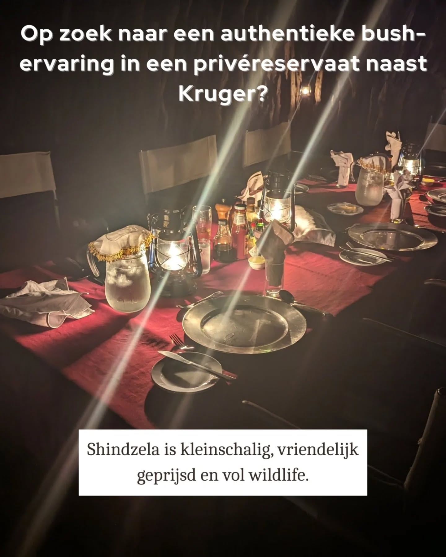 👉 Swipe om te zien waarom Shindzela Tented Camp al jaren hoog op ons favorietenlijstje van safari kampen staat!
@shindzelatc
📸 @tomhermans92
#EchteSafari #ShindzelaTentedCamp #KrugerSafari #JaAfrikaTravel #IntoTheWild #Timbavati #AfrikaAvontuur #GreaterKrugerpark