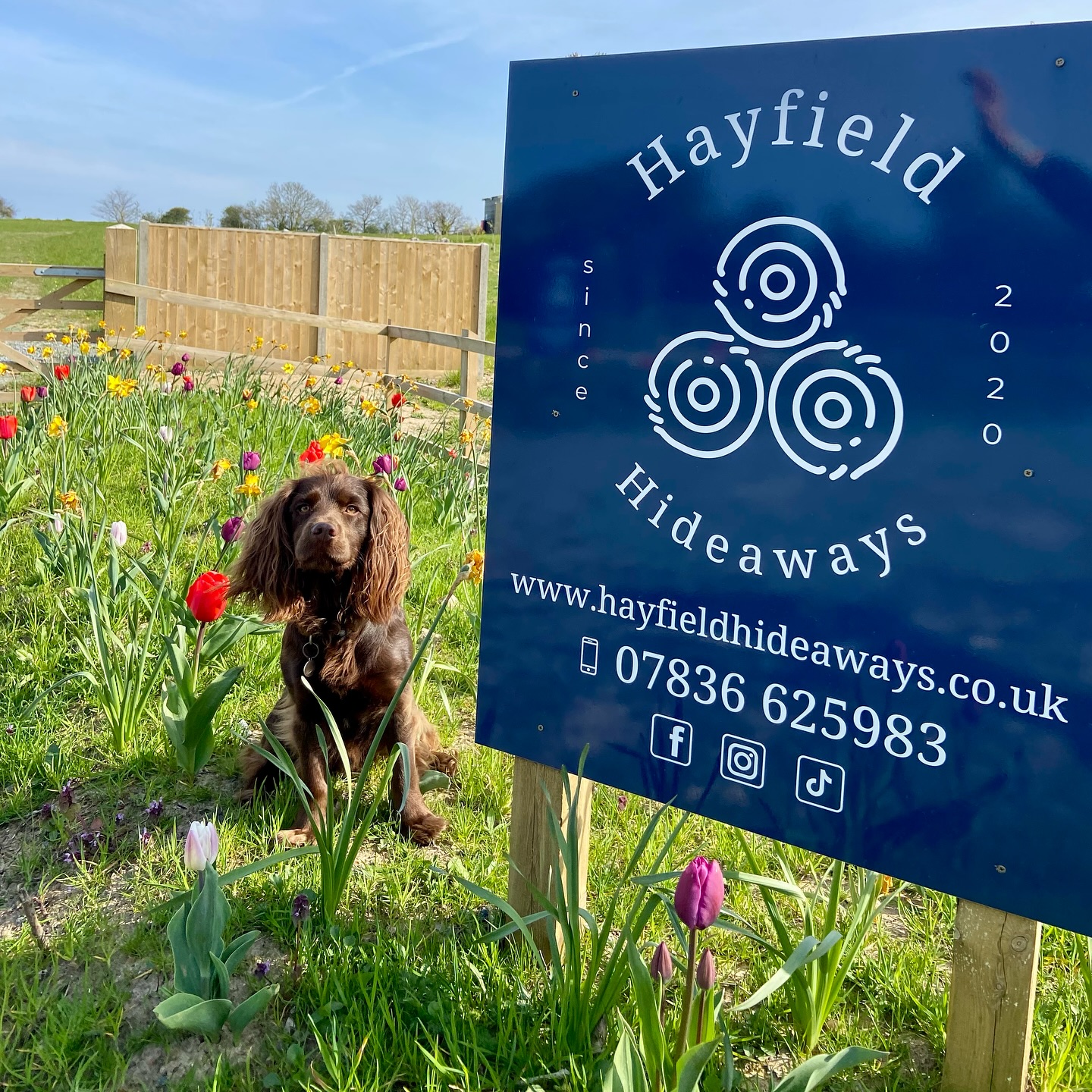 Happy #nationaldogday to Winston, the King of Hayfield Hideaways 👑🐾
He’s in charge of the behind-the-scenes campsite jobs… from pitch inspections to keeping morale high. We couldn’t run things without him 🤣