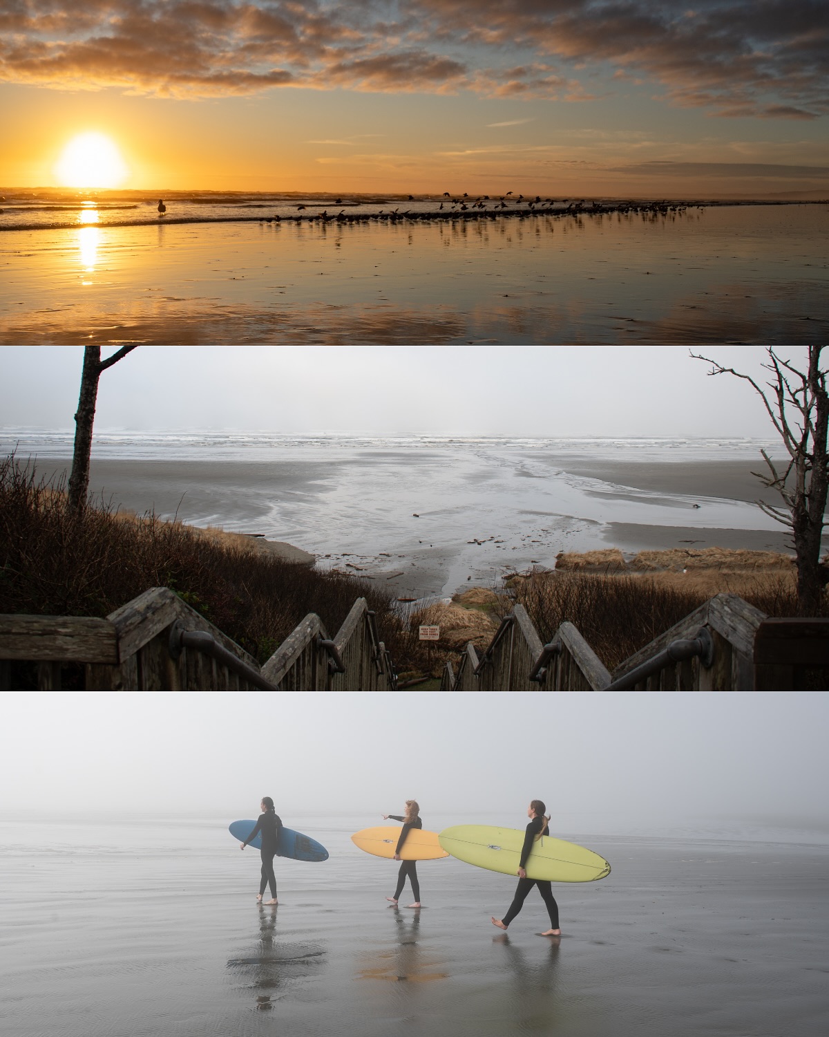 Seabrook. Sometimes you need to zoom out to see just how special this place really is. 🌲
🎥: Shot by @equalmotion | Our go-to for golden hour and coastline capture
#seabrookwa #pnwadventures #pnwlife #washingtoncoast #coastalphotography