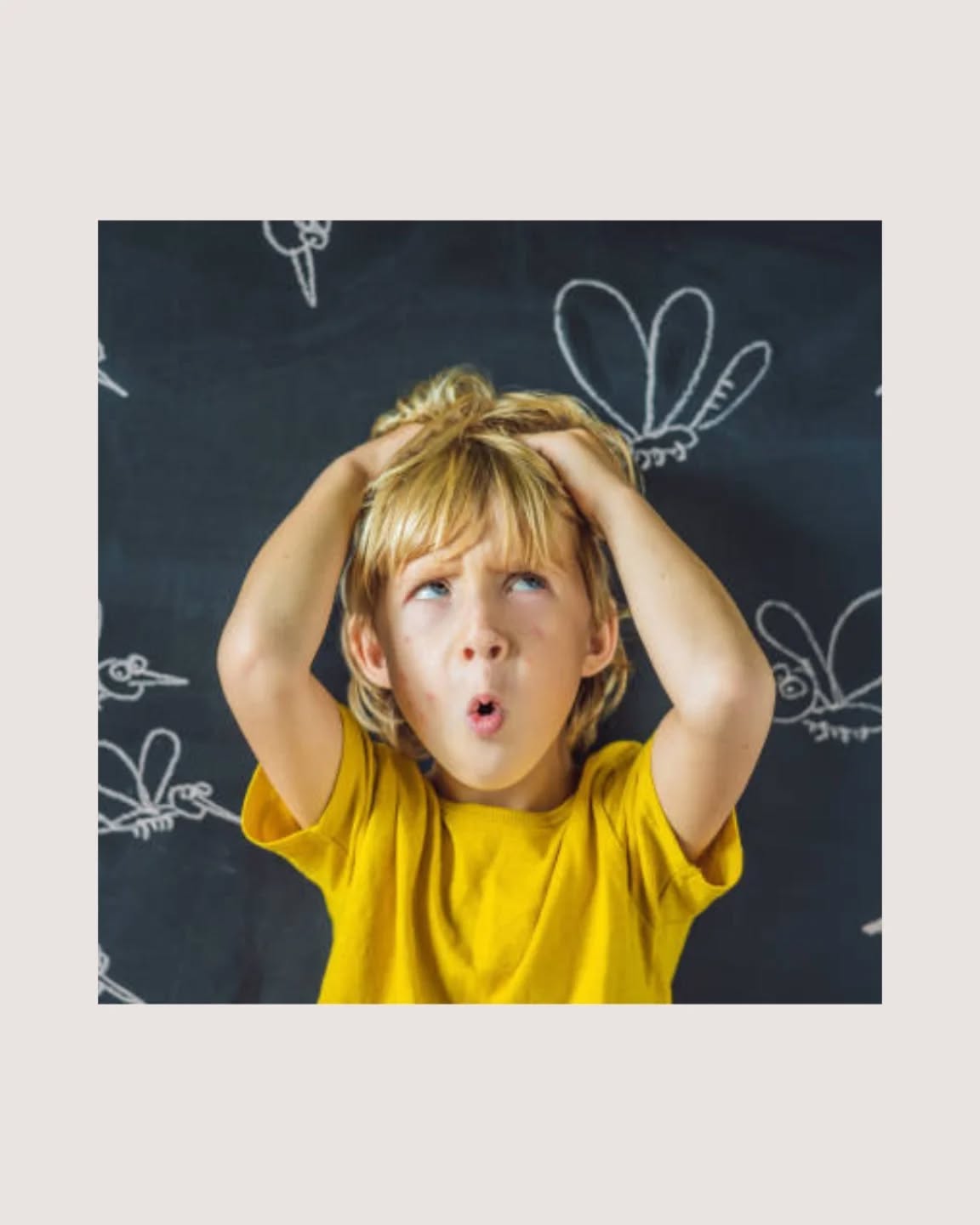 Zoem, zoem … 🦟
Niet alleen houden muggen ons soms de hele nacht wakker met hun gezoem!
Maar baby’s zijn een gemakkelijk doelwit voor muggen en hun huid is extra gevoelig voor insectenbeten.
We kunnen jullie enkele tips geven om muggenbeten te vermijden:
🦟 Jonge baby’s onder de 2 maanden geen gebruik van insecten spray of zalf die wij als volwassene gebruiken. Deze bevatten meestal deet en is schadelijk voor jonge baby’s
🦟 Vanaf 2 maanden en jonger dan 2 jaar mag je wel zalf of spray gebruiken met maximaal 30 % Deet
🦟 Citronella-olie is wel geschikt voor baby’s maar je mag het niet direct op de huid aanbrengen, vul een potje met de olie en zet het in de kamer
🦟 Er bestaan ook bepaalde stickers met citronella en eucalyptus in leuke dierenfiguurtjes die de muggen afweren. Kleef er eentje op de kledij, het bedje of de buggy om zo de muggen op afstand te houden. De stickers zouden tot 72 u werken. Deze zijn ook geschikt voor pasgeboren baby’s.
🦟Liever geen gebruik van anti-muggenstekker of polsbandjes. Zij bevatten vaak insecticiden en jonge kinderen en baby’s zijn hier enorm gevoelig aan. Bij langdurige blootstelling vergroten ze de kans op kanker en hormonale -en immuniteitsstoornissen.
🦟Een anti-muggenstekker met ultrasone geluiden kan wel, is niet schadelijk.
🦟 Je kan ook een muggenwerend plantje in de kamer zetten oa. Rozemarijn en citroenmelisse en munt of kattenkruid.
🦟 Zorg evt voor vliegenramen en maak gebruik van een muggennet voor de wieg.
🦟 Bedek de huid van je baby zoveel mogelijk. Hoe meer de huid bedekt, hoe minder de muggen kunnen toeslaan. Indien het dus niet te warm is, best pyjama met lange mouwen en broekspijpen.
Toch een muggenbeet ?
🩹 Geen paniek, je kan er zalf op smeren die wat verzachtend werkt… zalf die werkt voor luieruitslag is doorgaans ook geschikt om muggenbeten te verzachten. Bij de apotheker kan je ook raad vragen voor een eventueel geschikte zalf.
🩹 Naast zalf kan een koud nat washandje op de muggenbeet de jeuk ook verlichten
🩹 Let wel op tekenen van een ernstige reactie: huiduitslag op een andere plek dan de beet of een steeds groter wordende rode plek. In beide gevallen raadpleeg je best een arts.
#muggen