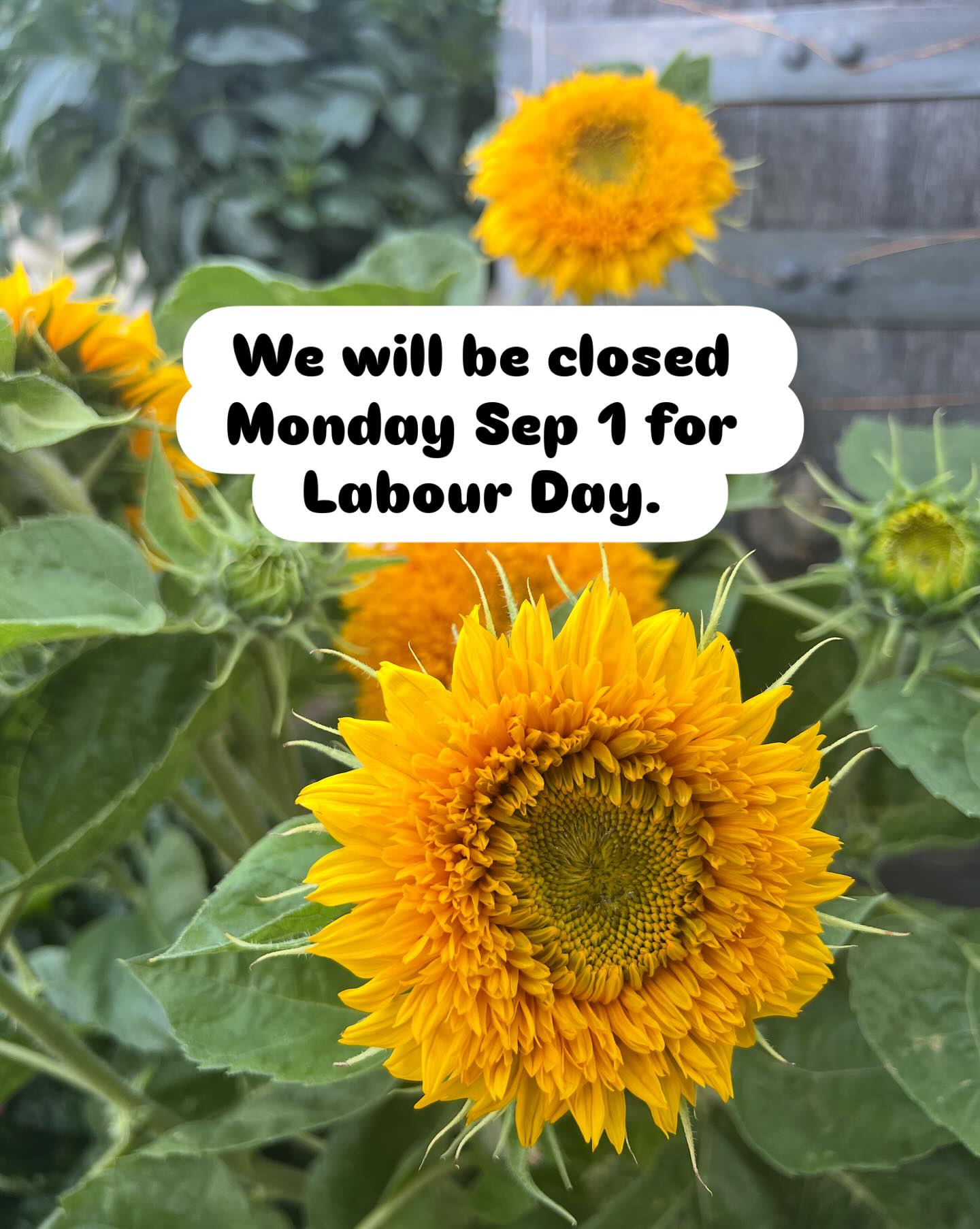 Have an awesome Labour Day Long Weekend!