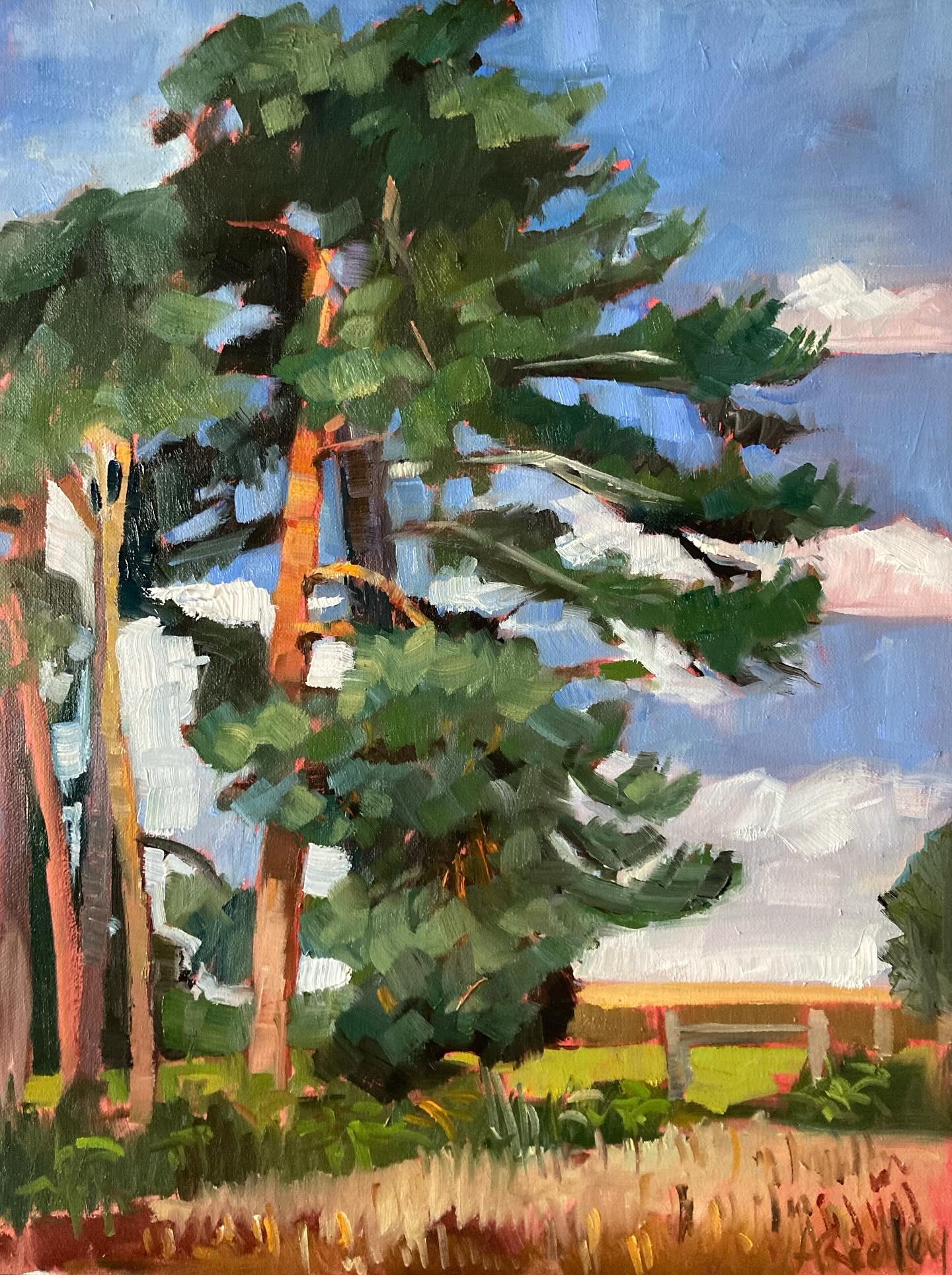 Out painting in the sun yesterday morning. It was really beautiful in Sutton Heath.
#suttonheath #pinetrees #suffolkpines #suffolkcountryside #landscapepainting #pleinaire #pleinairepainting #woodbridge #suffolkartist #suffolkartwork #suffolkart #scottspine