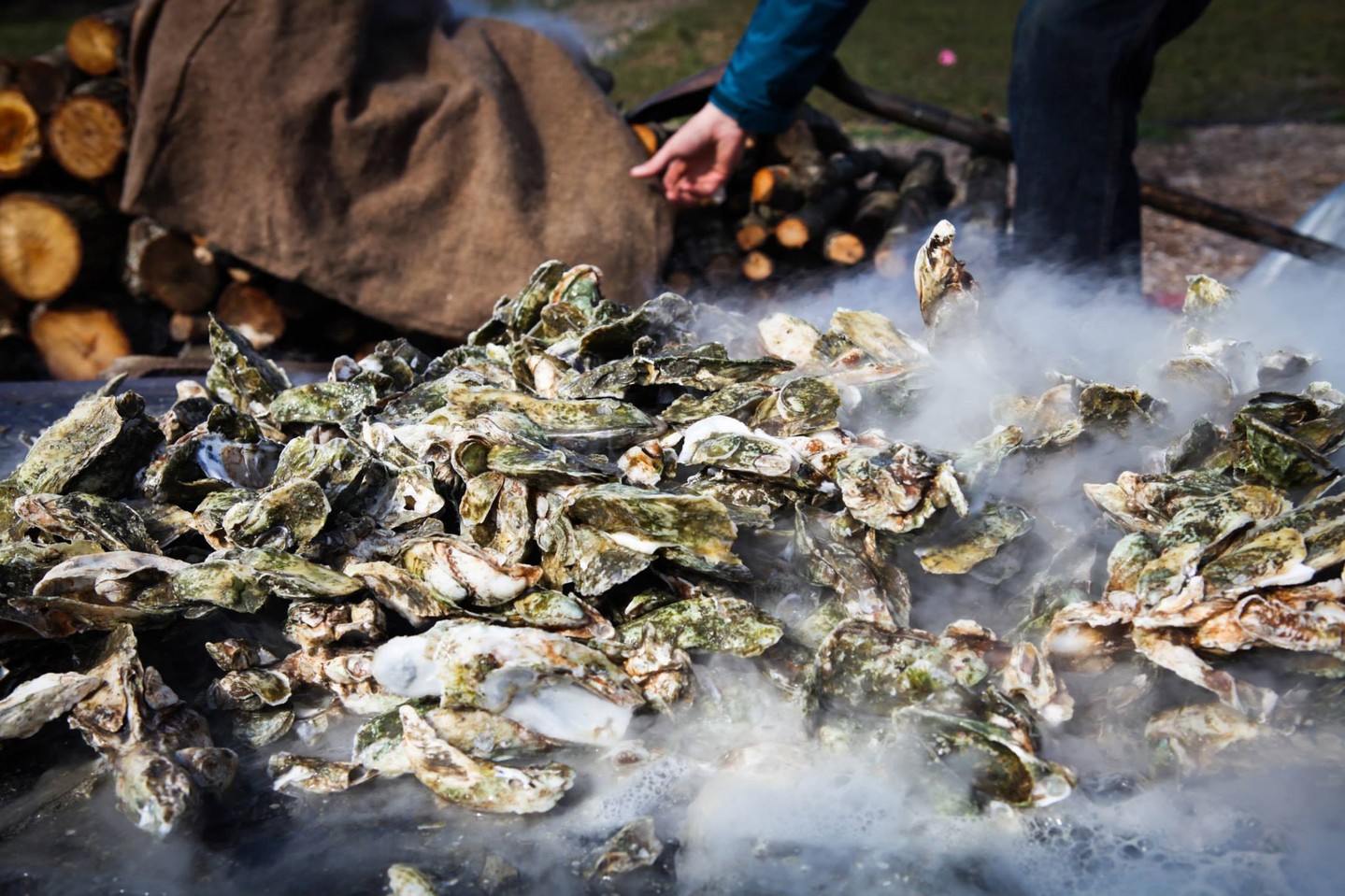 🎉 Join us for an unforgettable culinary journey right here in Columbia, SC! 🍽️ From tastings to festivals, there’s an exciting event waiting just for you. Don’t miss out – grab your tickets now! Link in bio. 👇 #CulinaryEvents #FoodieFun #ColumbiaSC #TasteTheExperience #LocalEats #Festivals #Yum #FoodLovers #EventLife #GetYourTickets
