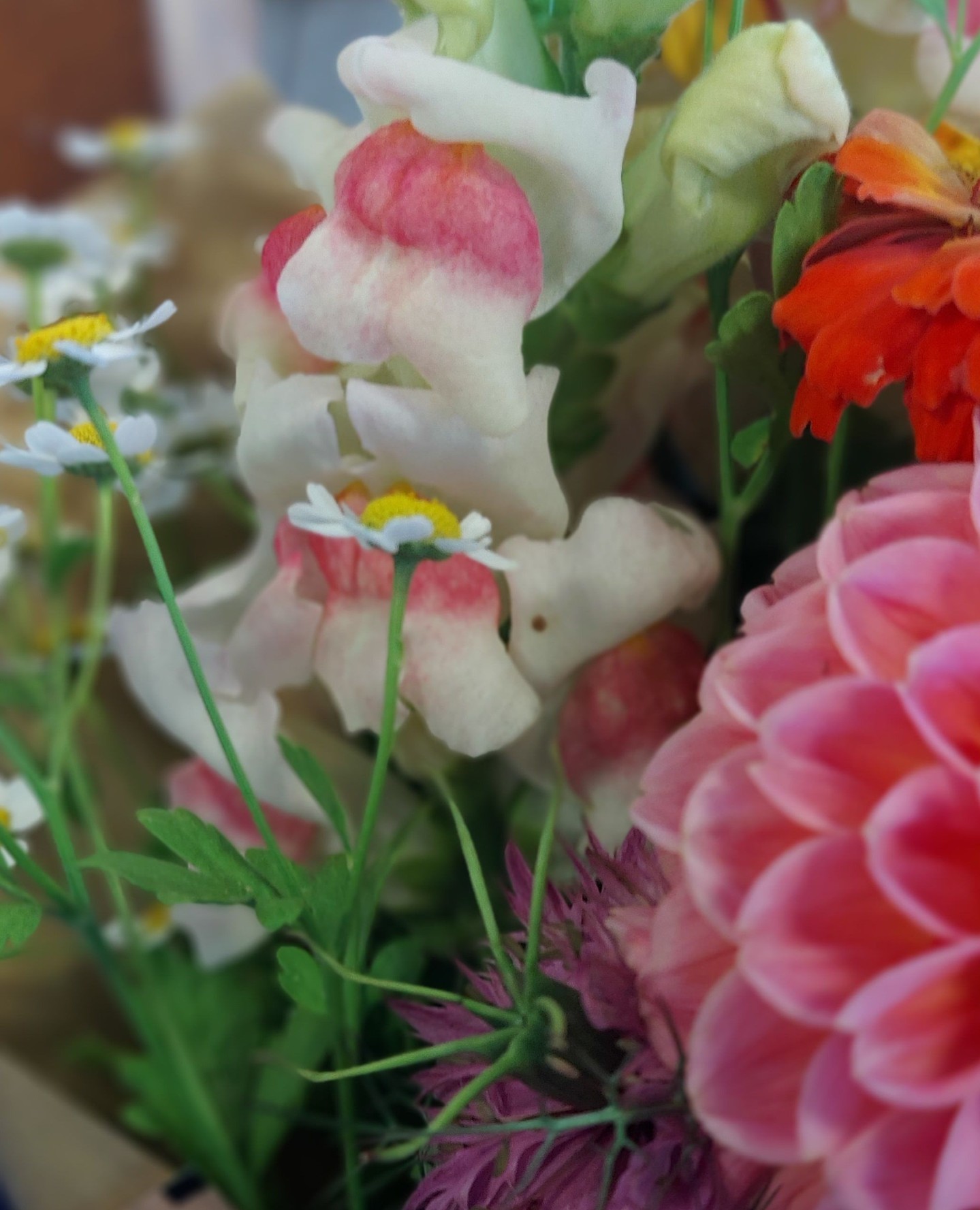 Ordering is open NOW!!â
â
Check out these snapdragons, which came in a bouquet from @twobirdsonestonefarm.â
â
â
#wolfvillefarmersmarket #wolfville #annapolisvalley #novascotia #farmersmarket #wfm2go #shoplocal #eatlocal #buylocal #supportlocal #freshproduce #community #letsdothis