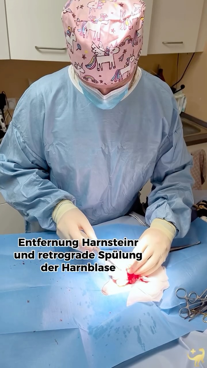 Die zweite Harnblasen-OP in dieser Woche