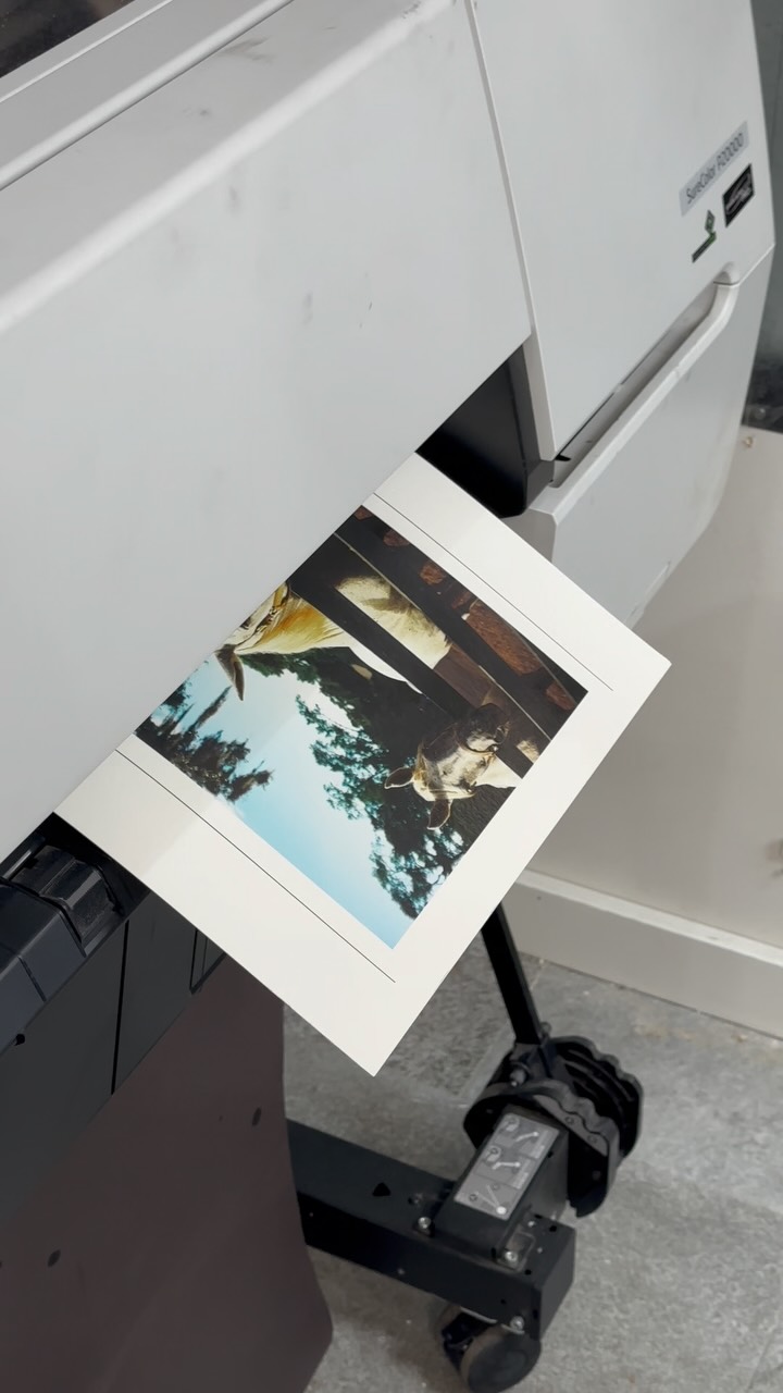 Fine art printing and more 🖼️
.
#skylabprinting #fineartprinting #bannerprinting #vinylcut #vinylcut