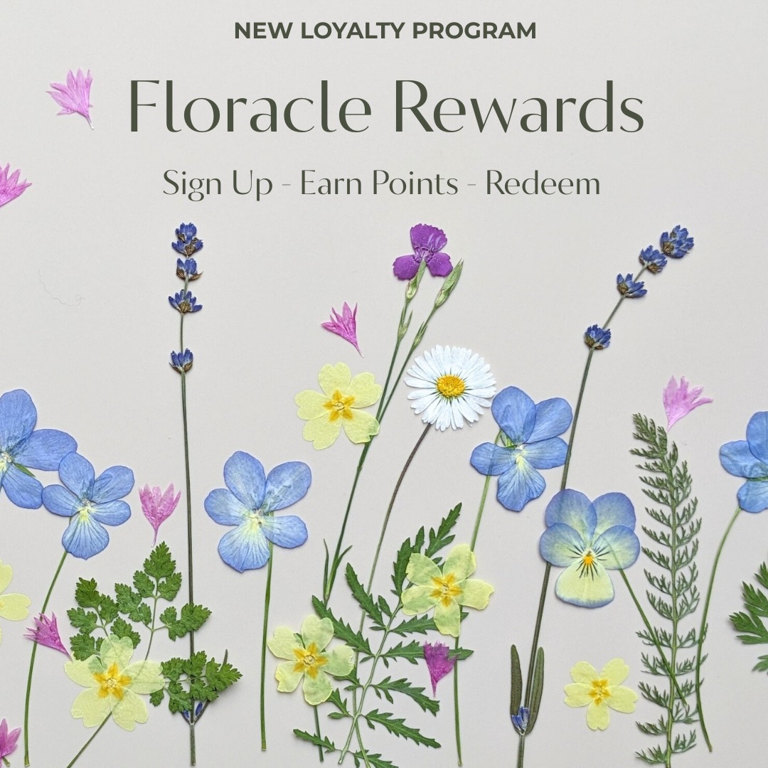 💕A little thank you to all my wonderful regular customers (and a warm welcome to new ones too!)💕
🌱 I've created a Loyalty & Referral Program so you can enjoy even more from every order
◾Sign up and get 250 points
◾Earn 5 points for every £1 spent
◾Exchange points for money off future orders
🌱Share & Earn More
◾Refer a friend and get 500 points when they order
◾Your friend enjoys 10% off their first purchase
Sign up, collect points, save money and share the love ❤️